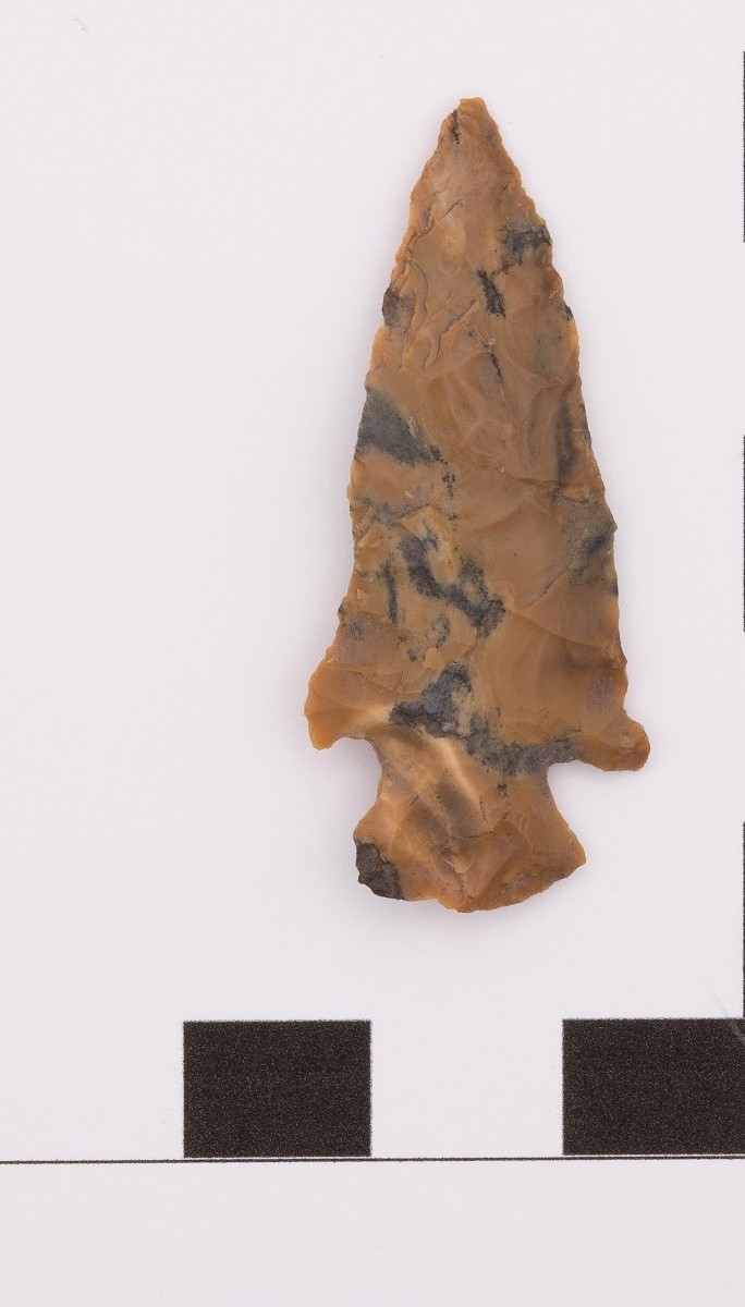 projectile point