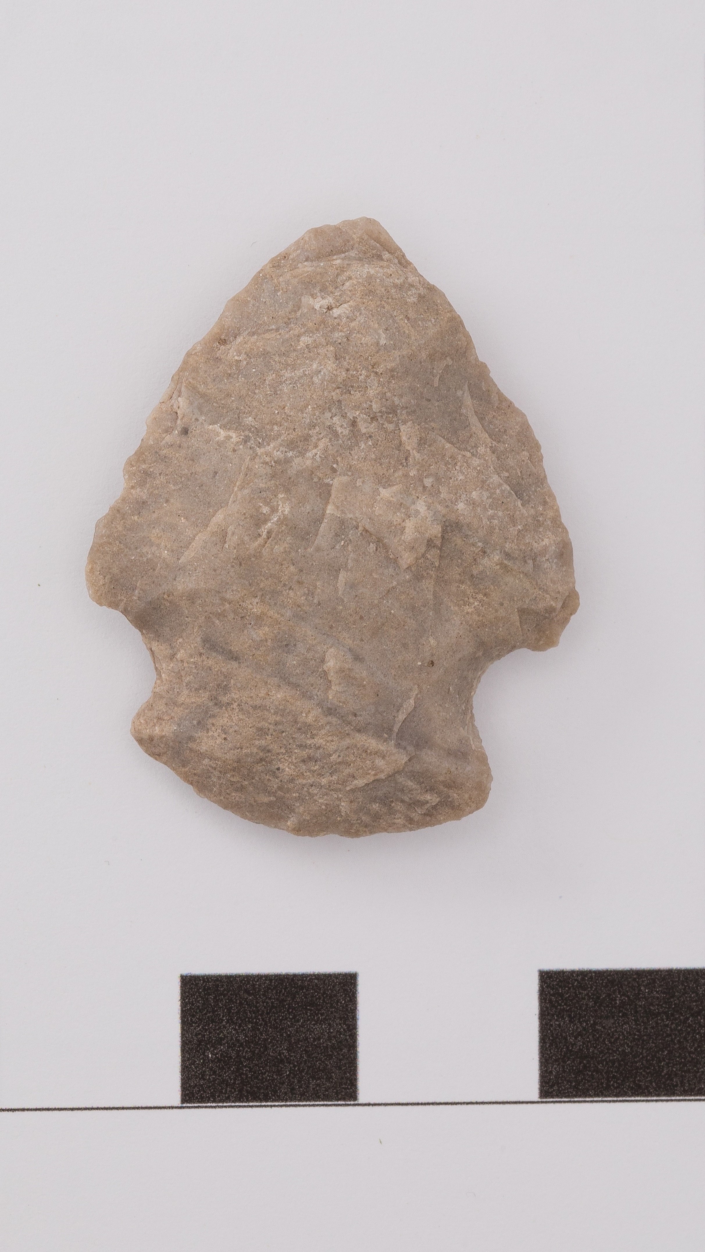 projectile point