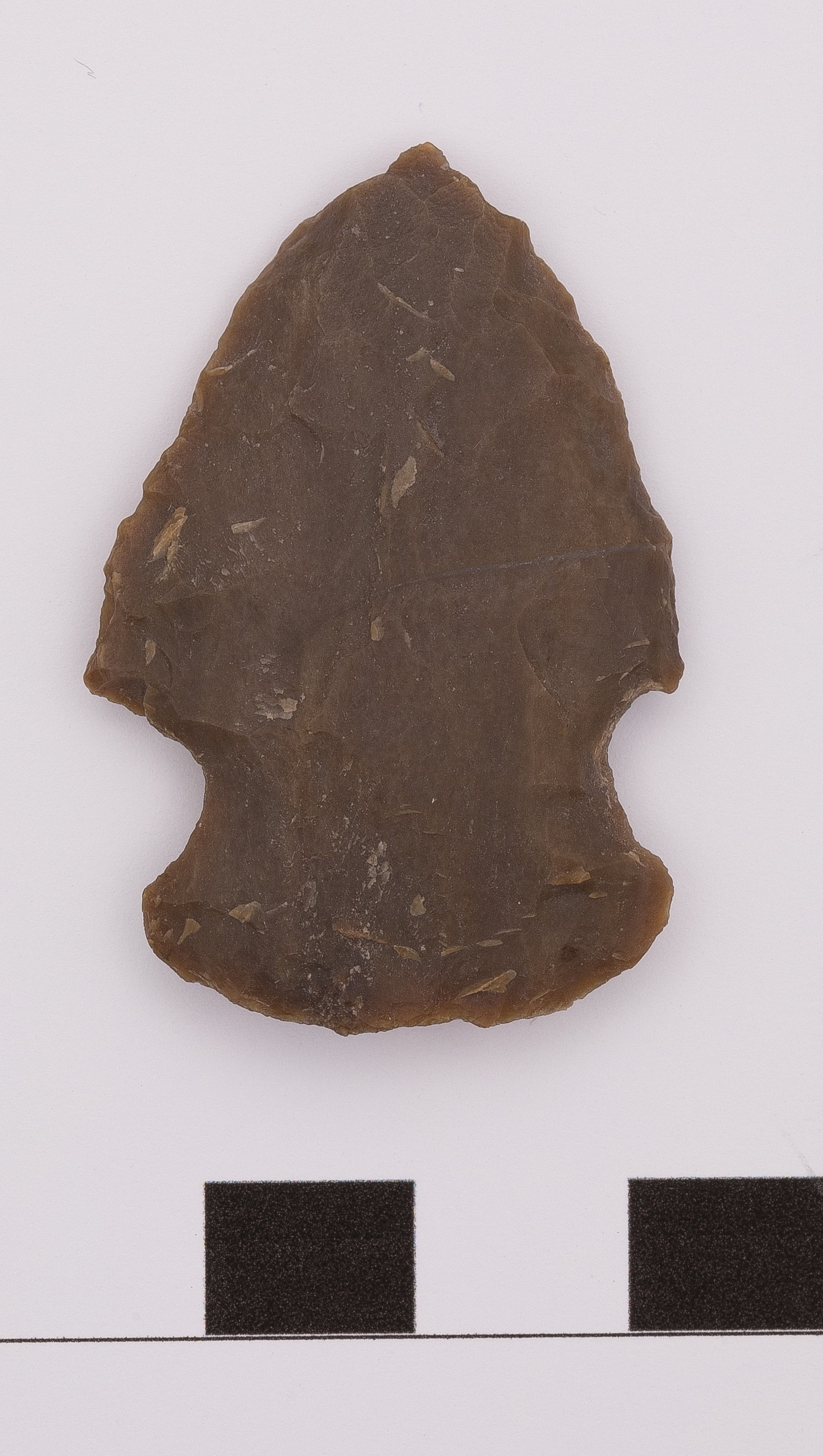 projectile point