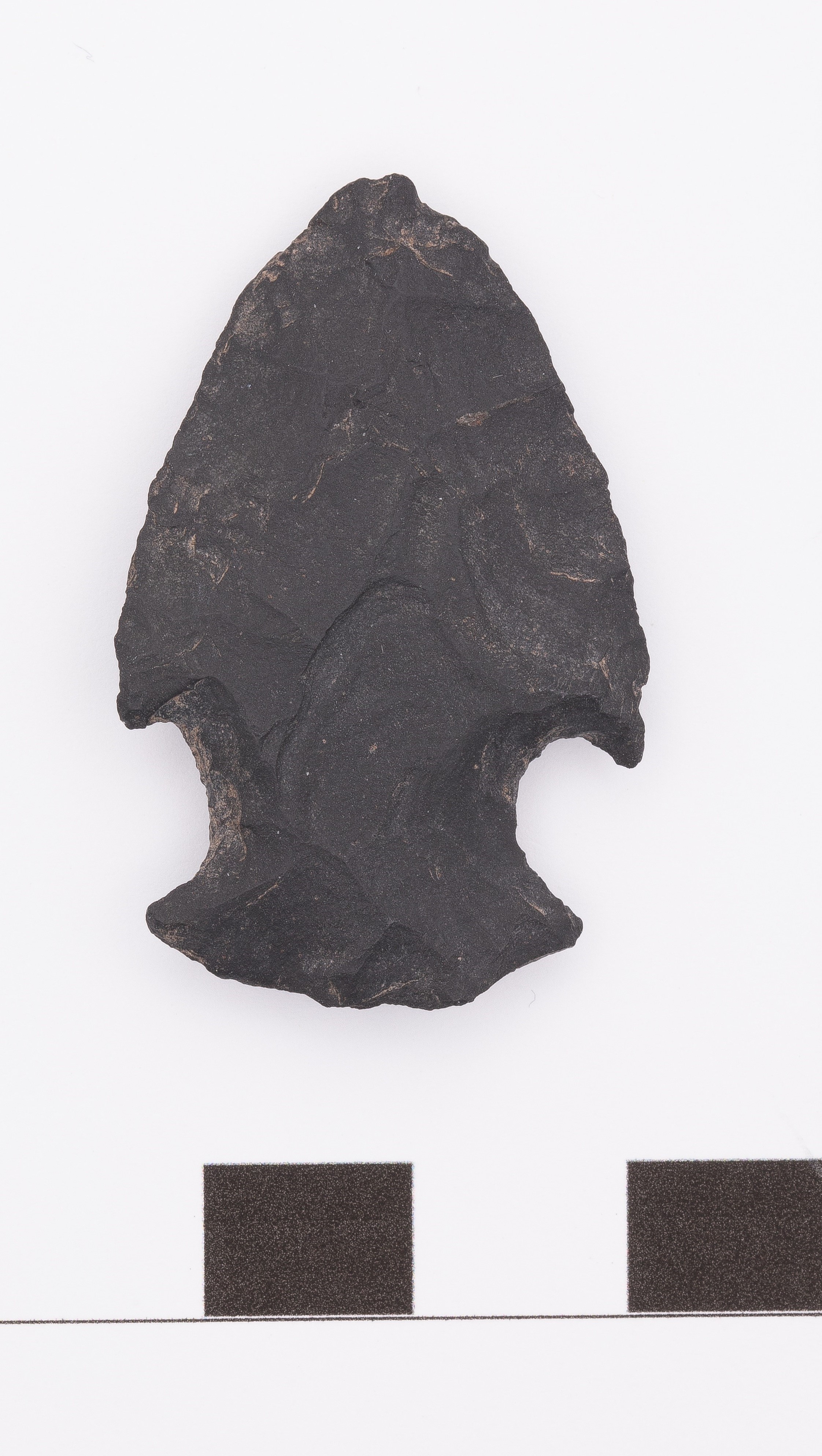 projectile point