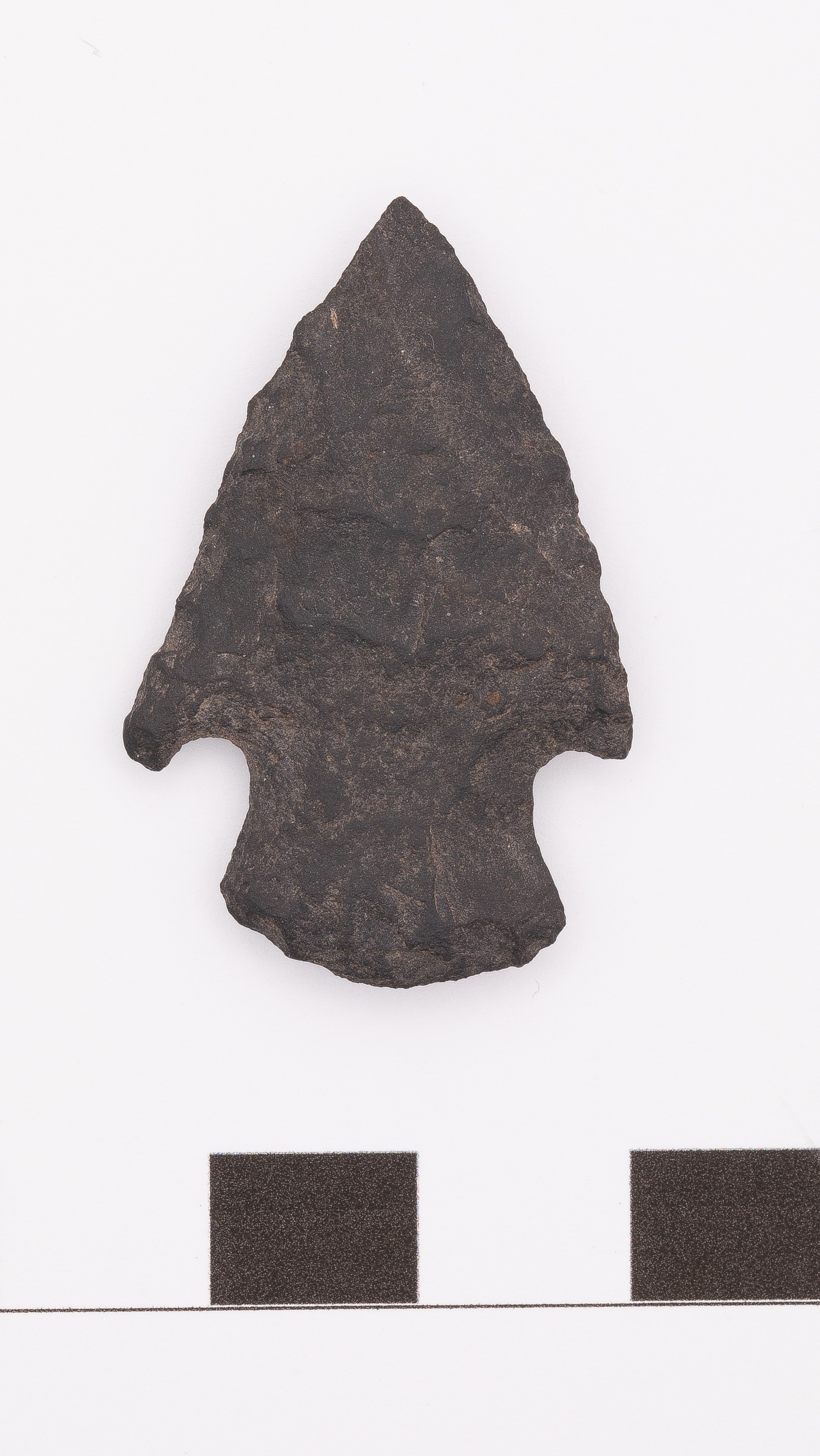 projectile point