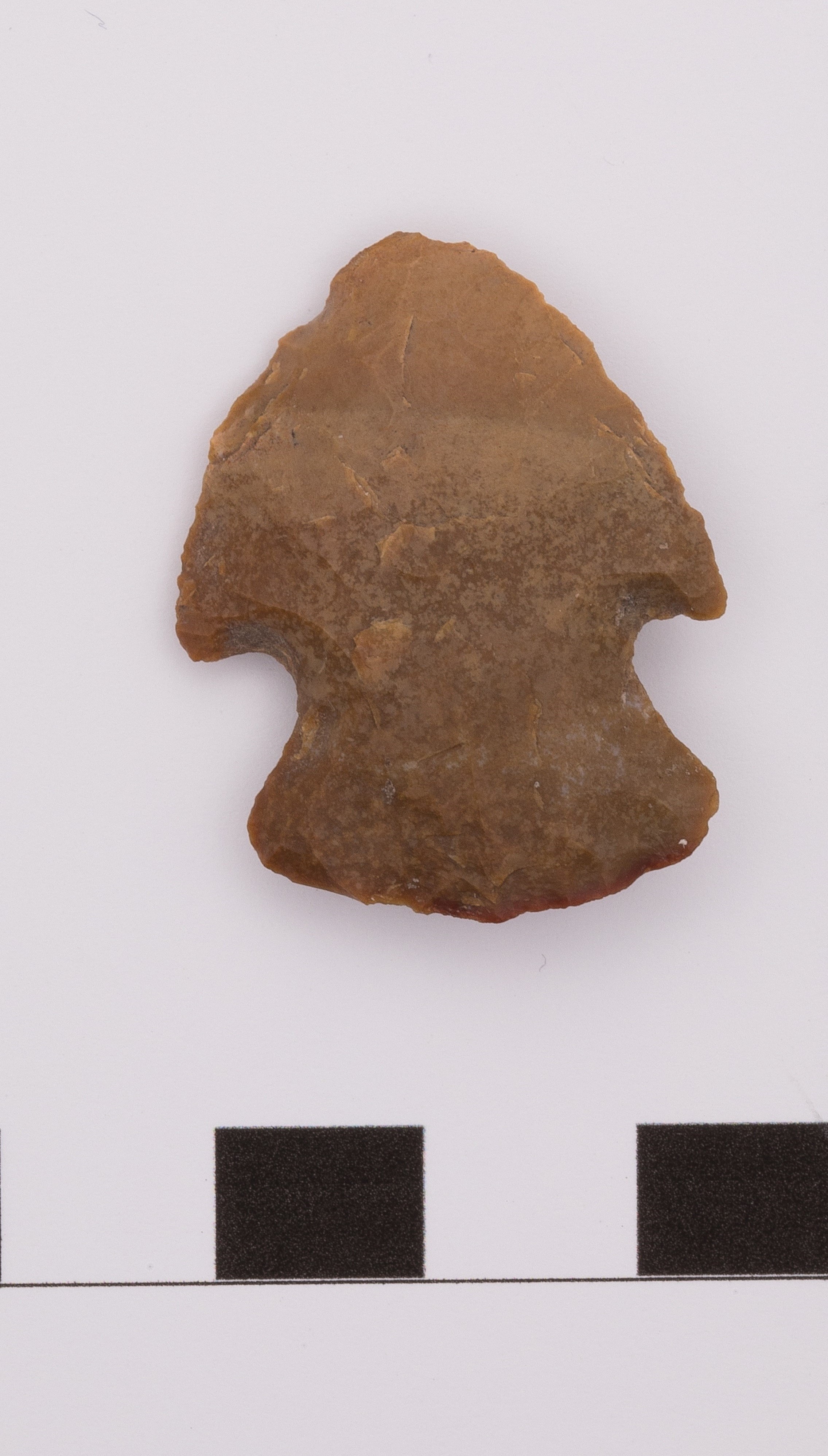 projectile point