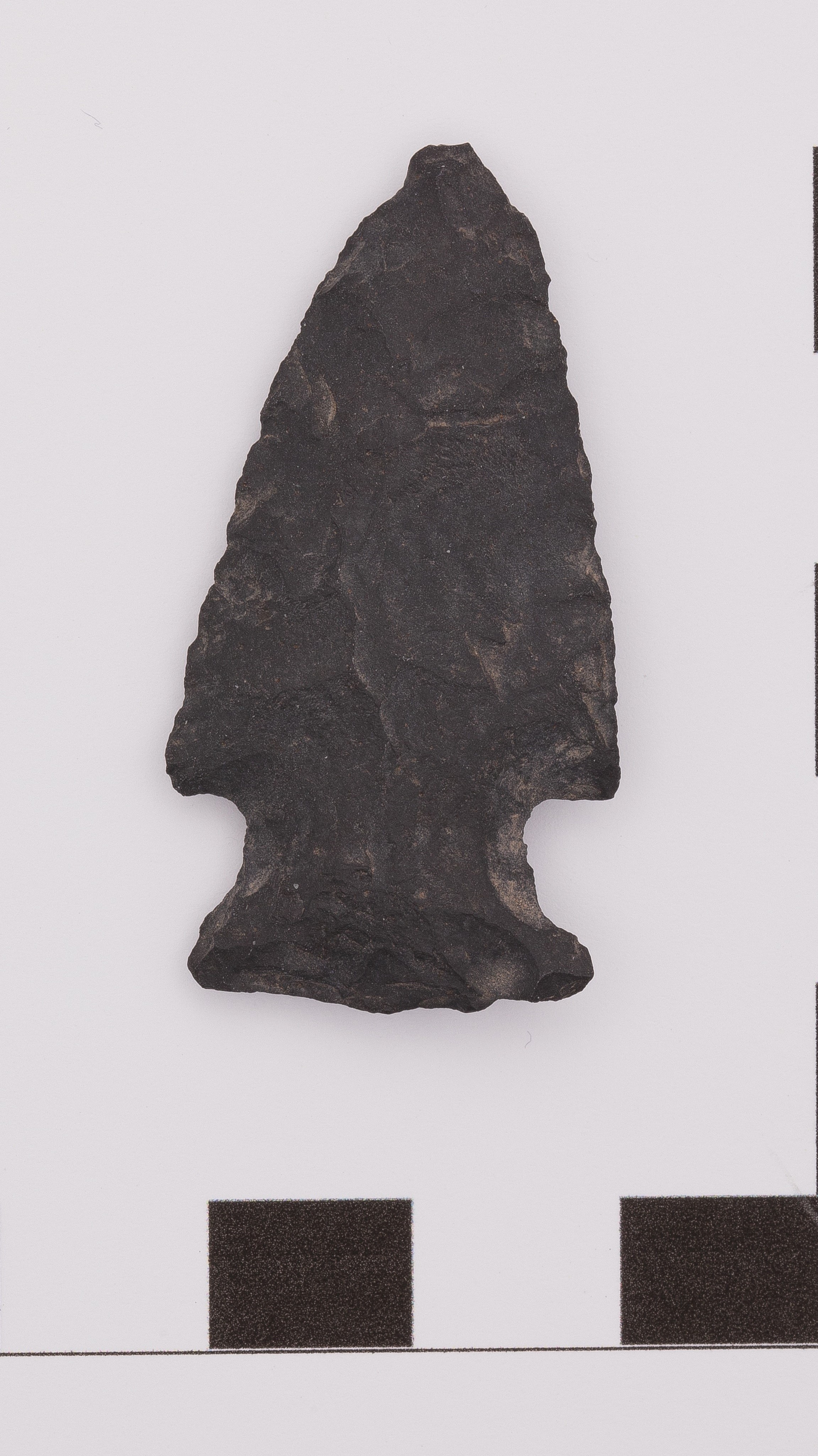 projectile point