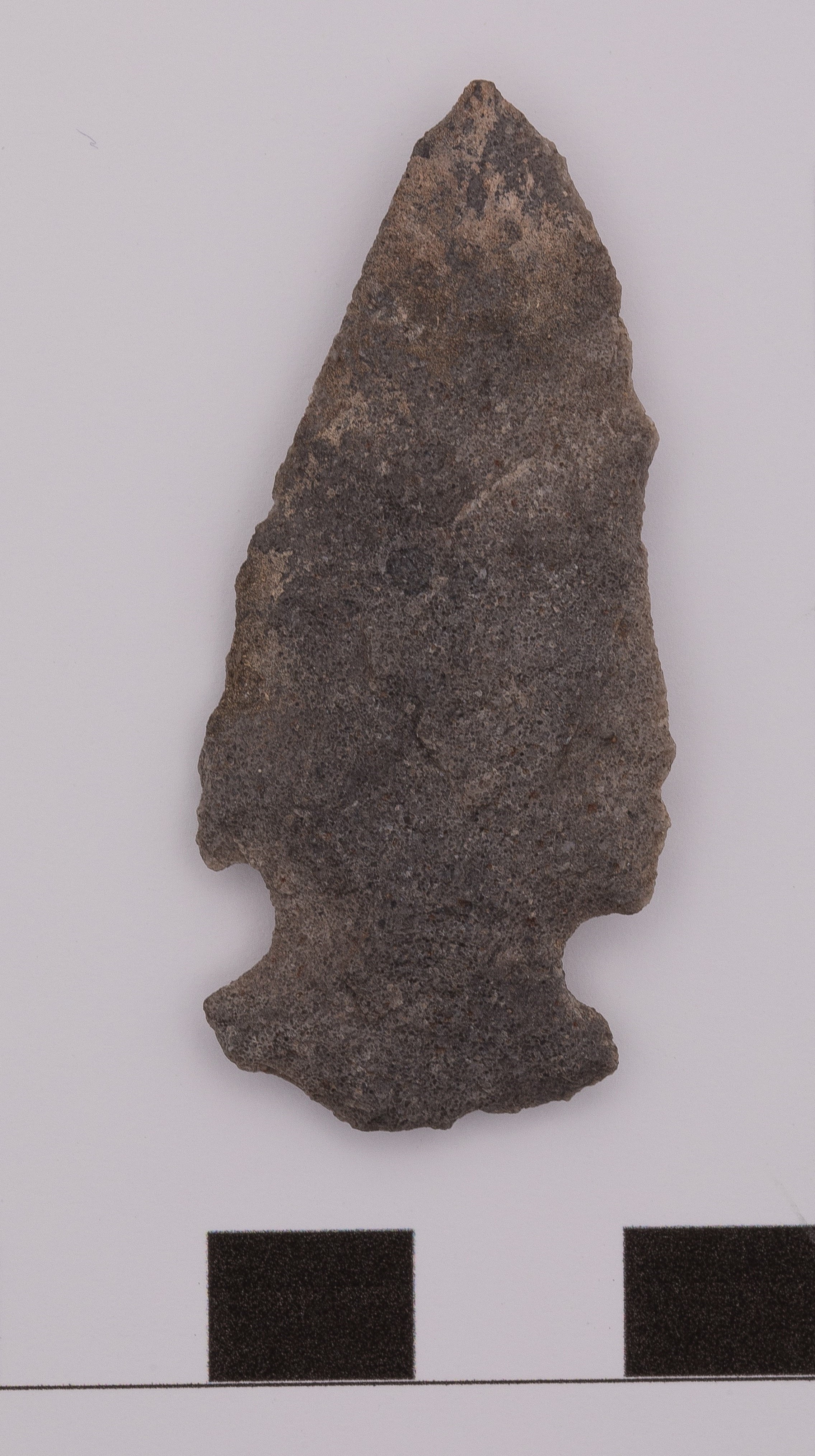 projectile point