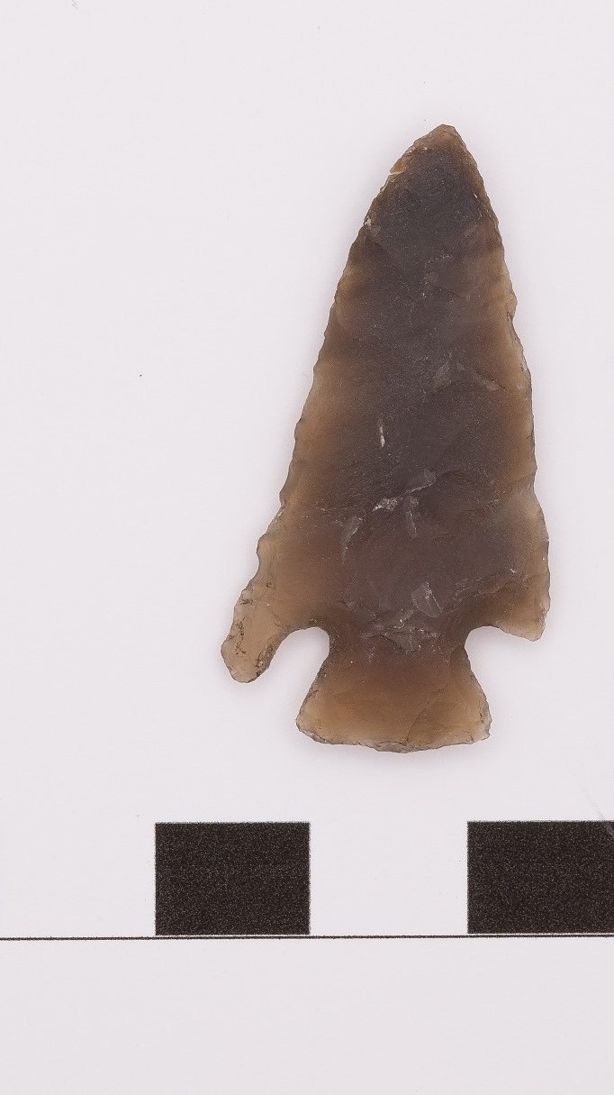 projectile point