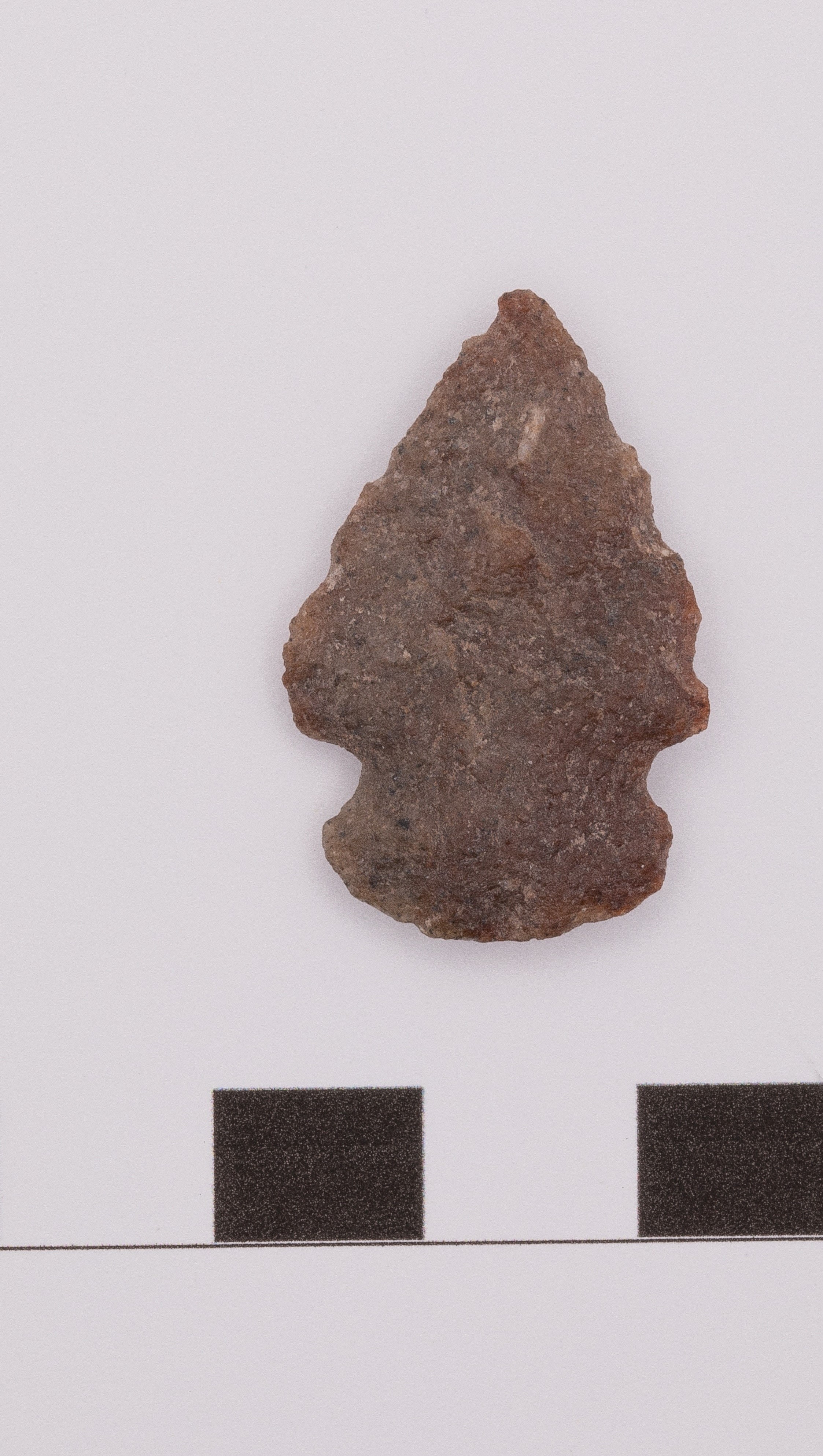 projectile point