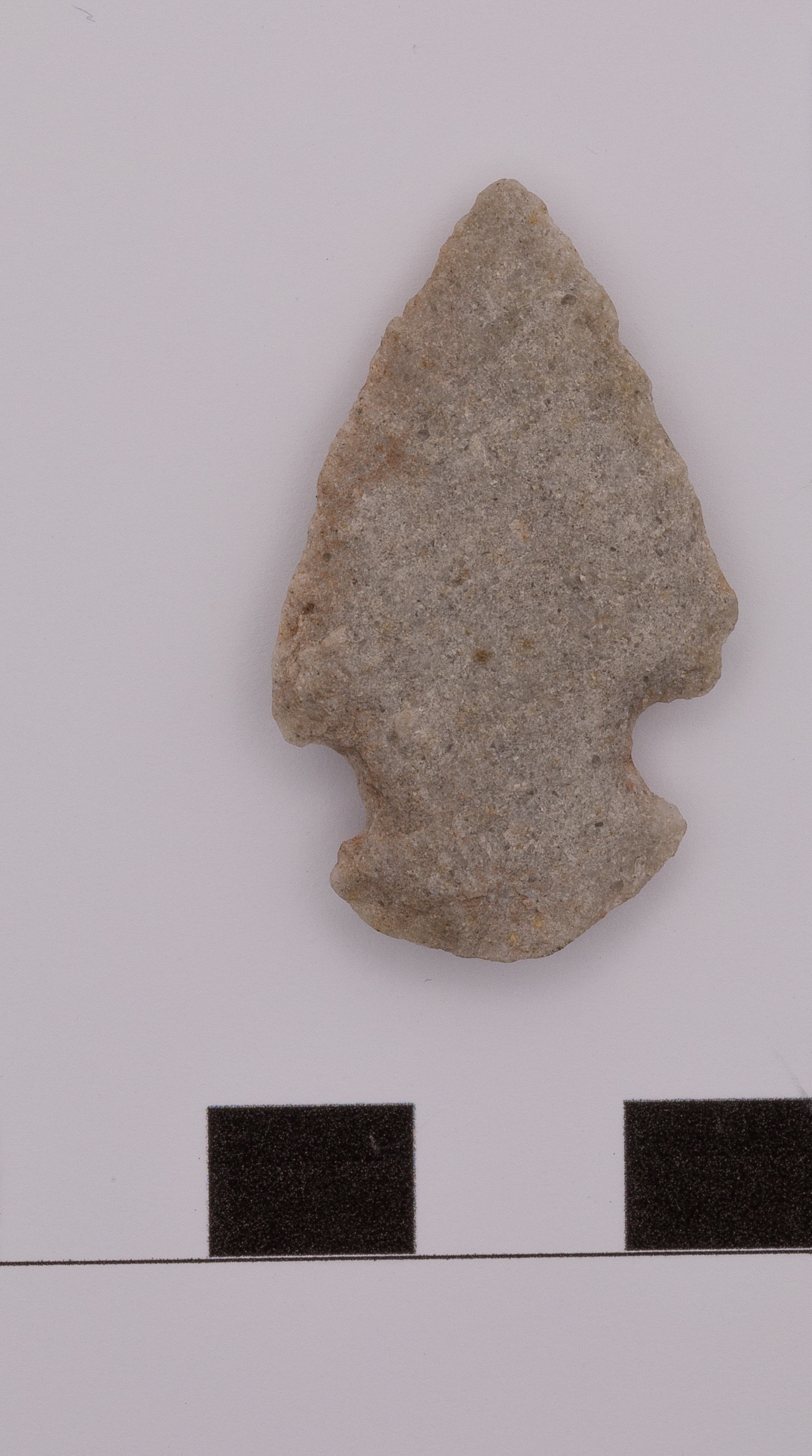 projectile point