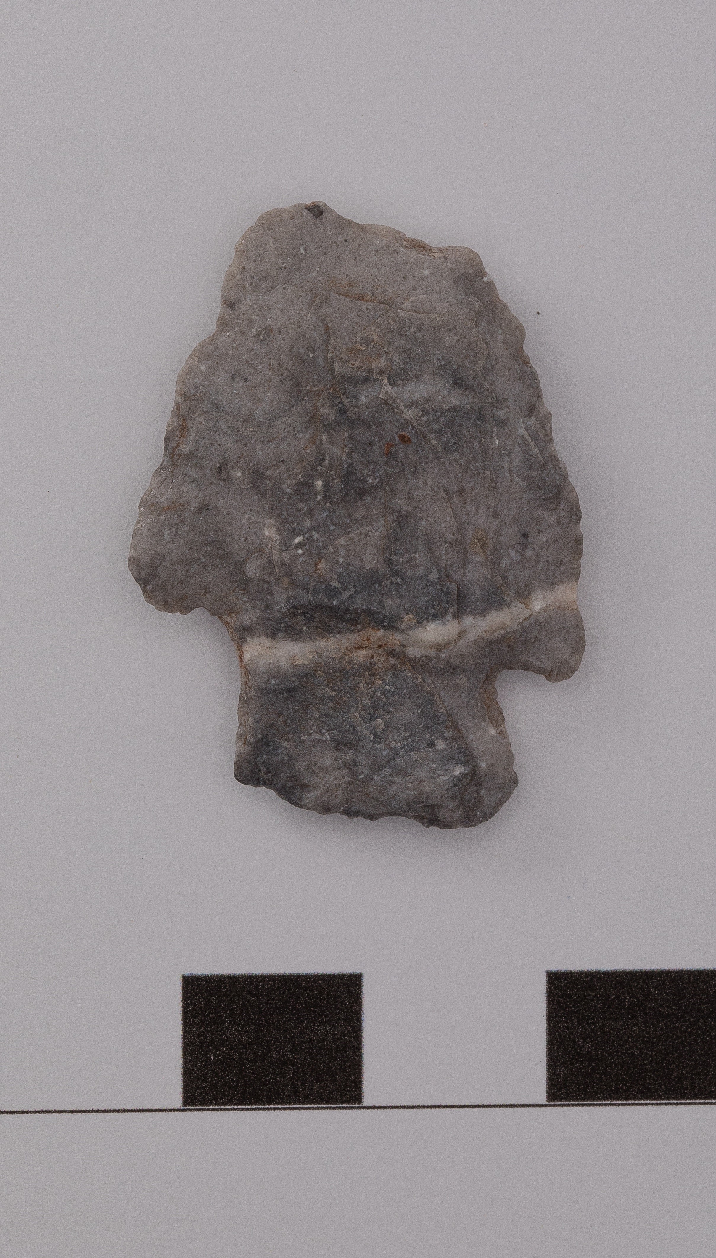 projectile point