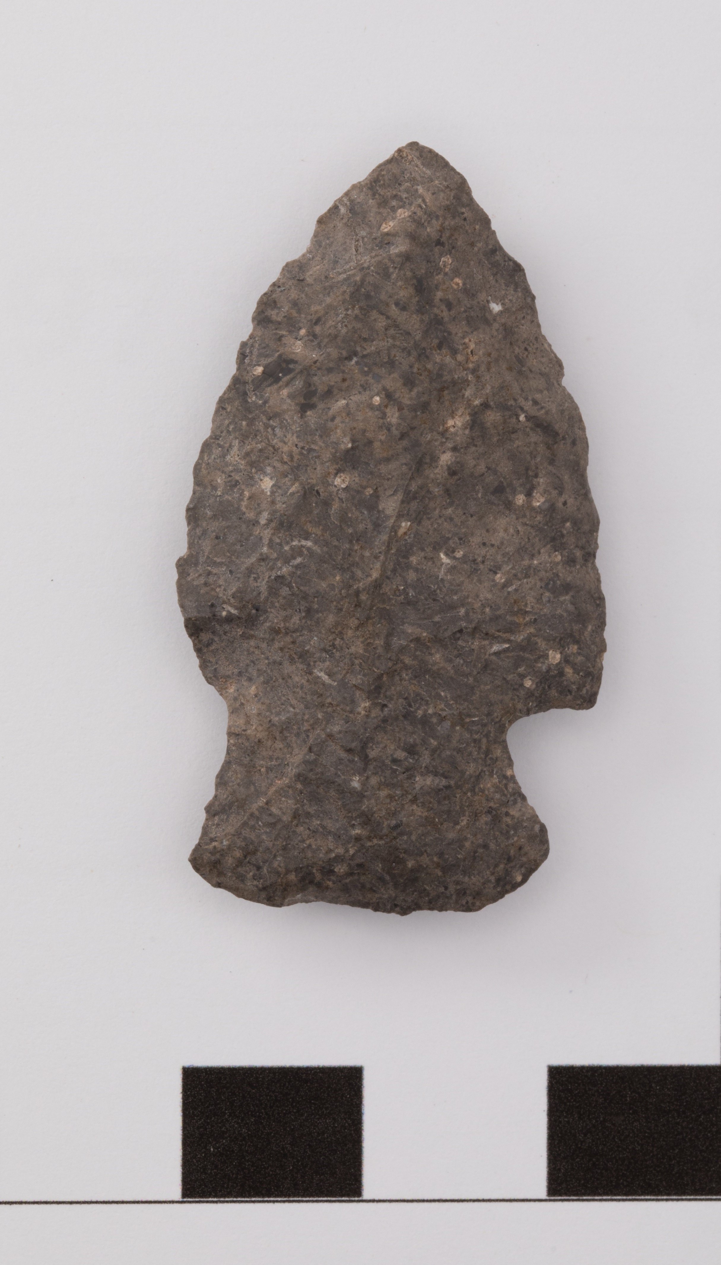 projectile point