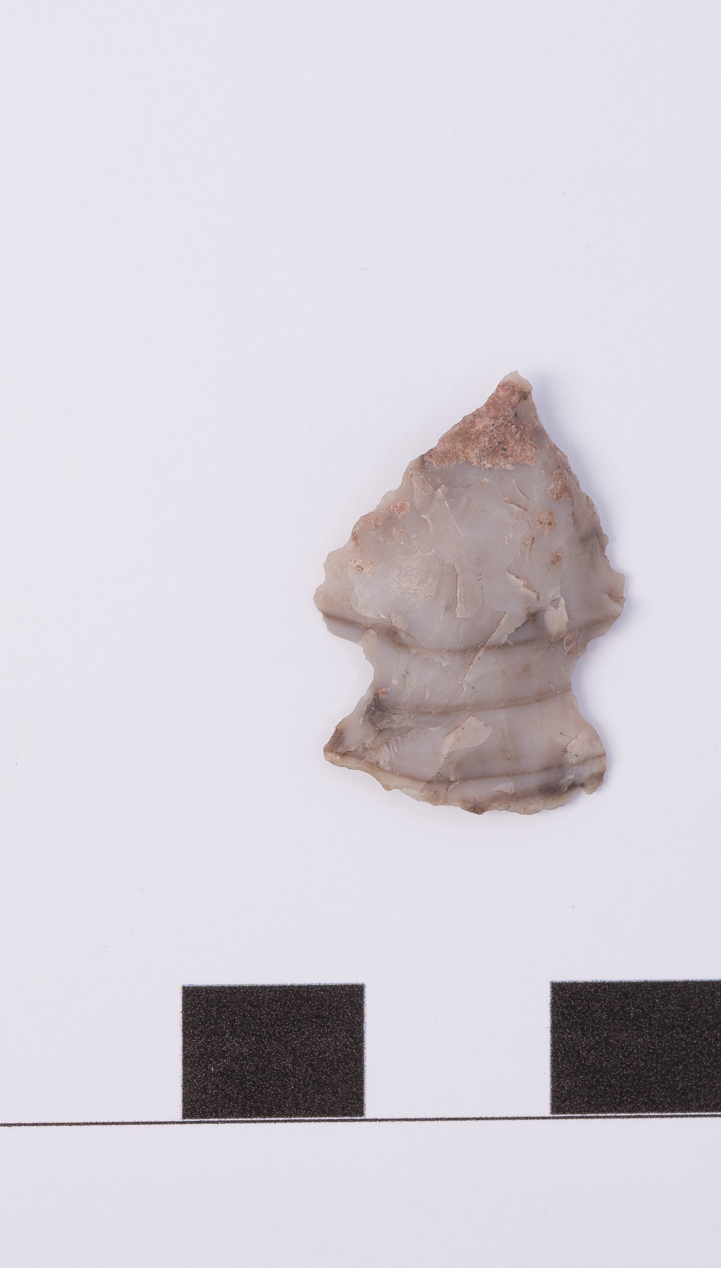 projectile point