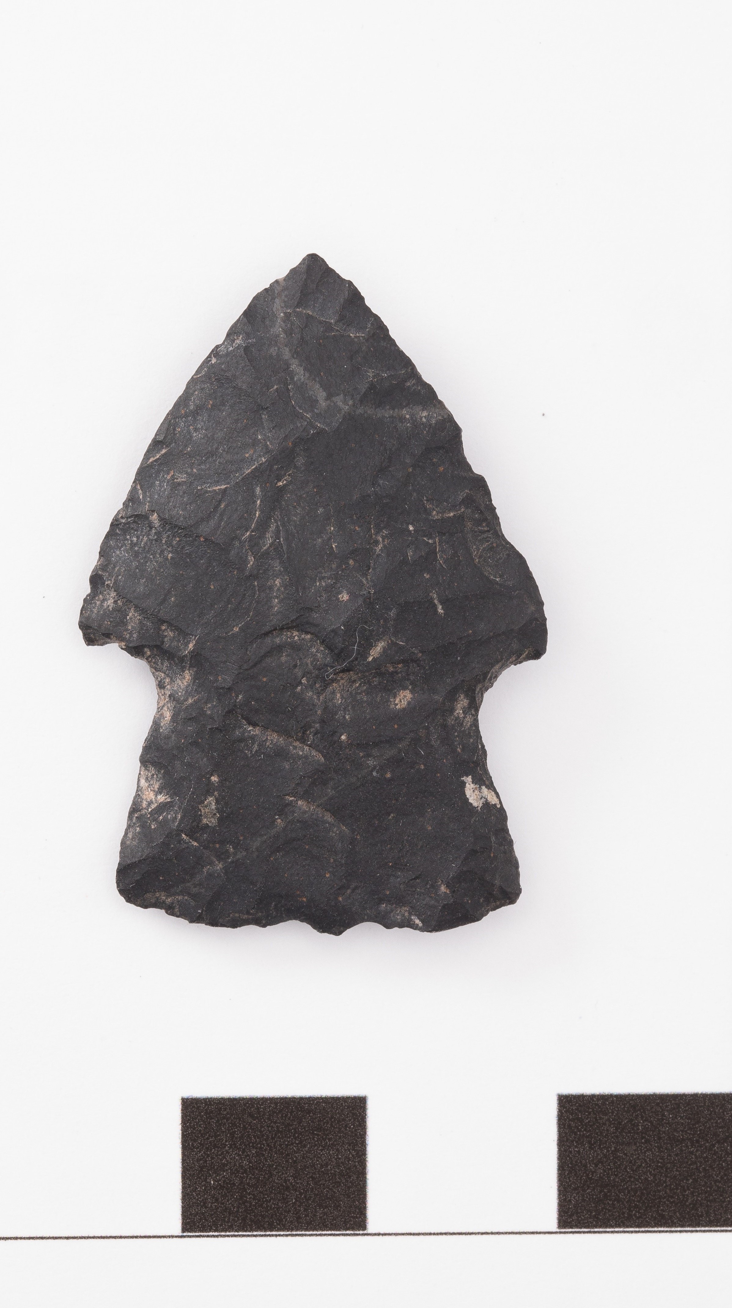 projectile point