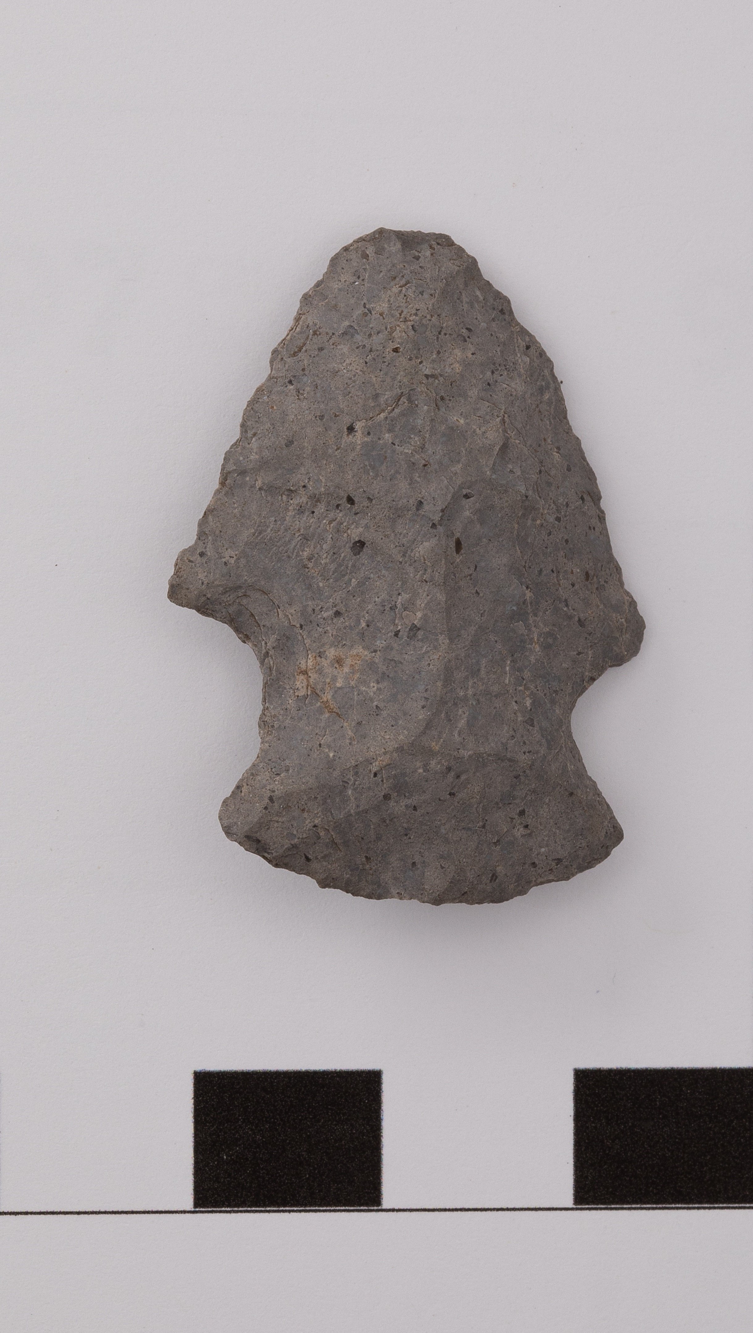 projectile point