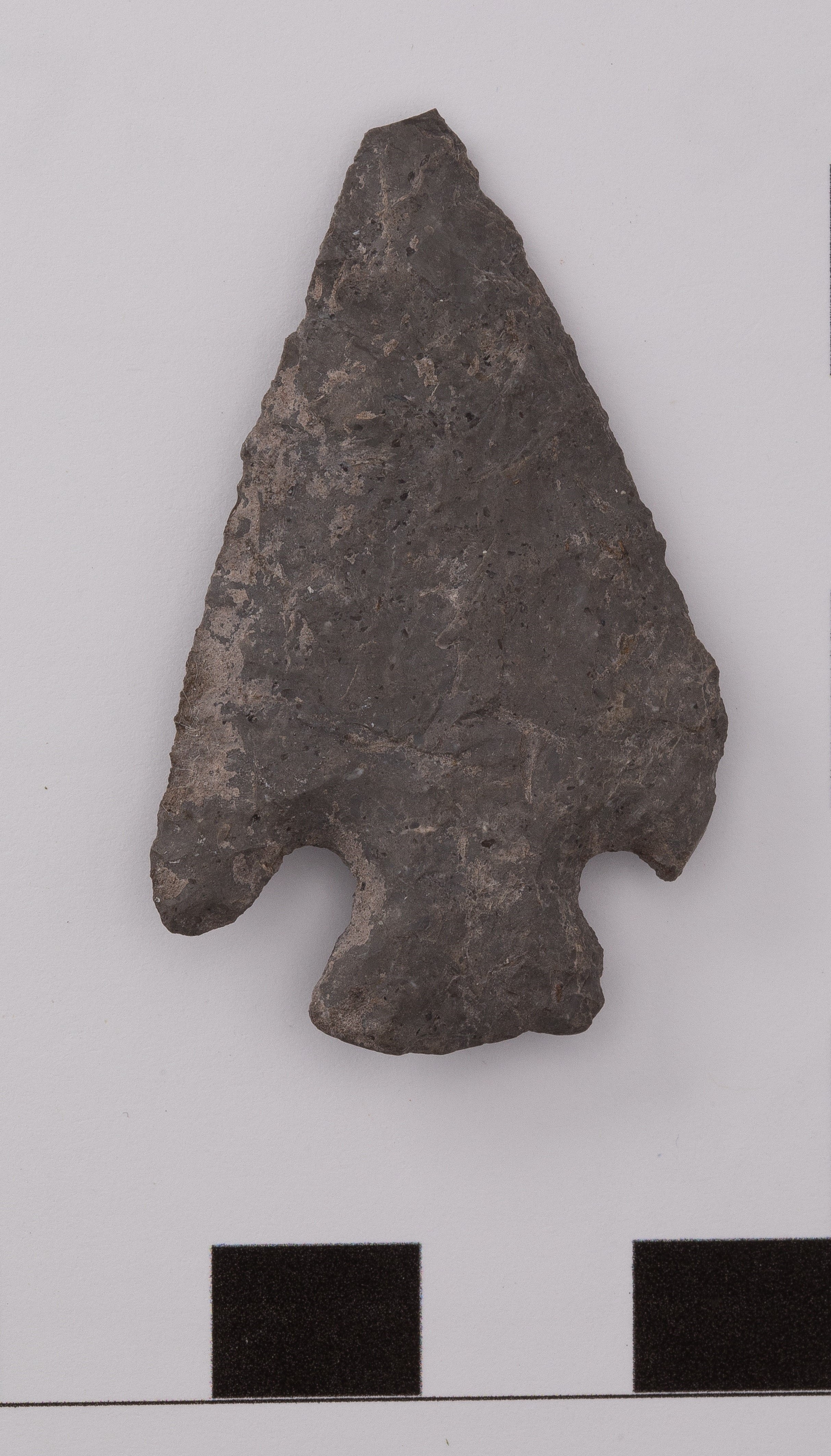 projectile point