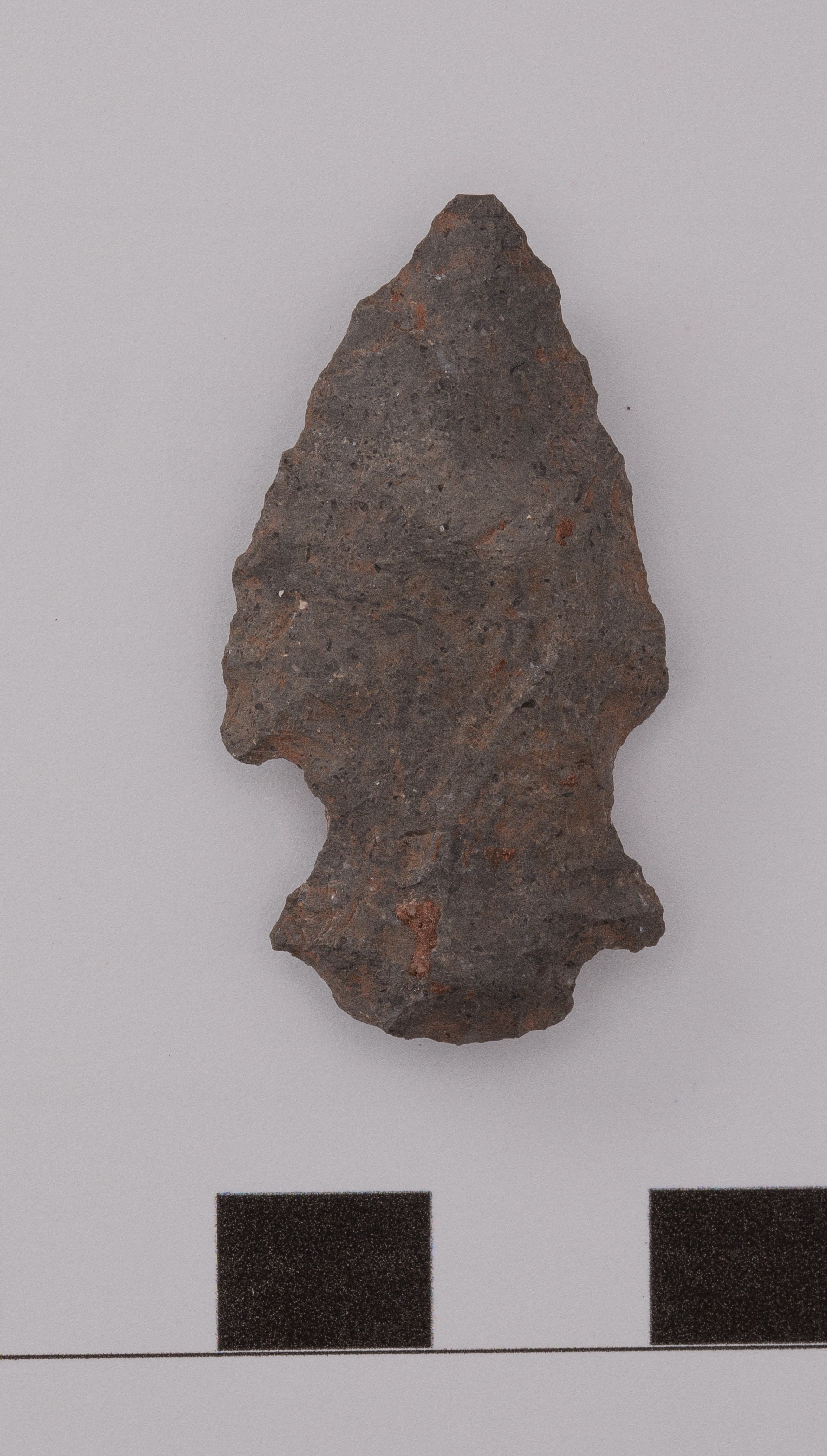 projectile point