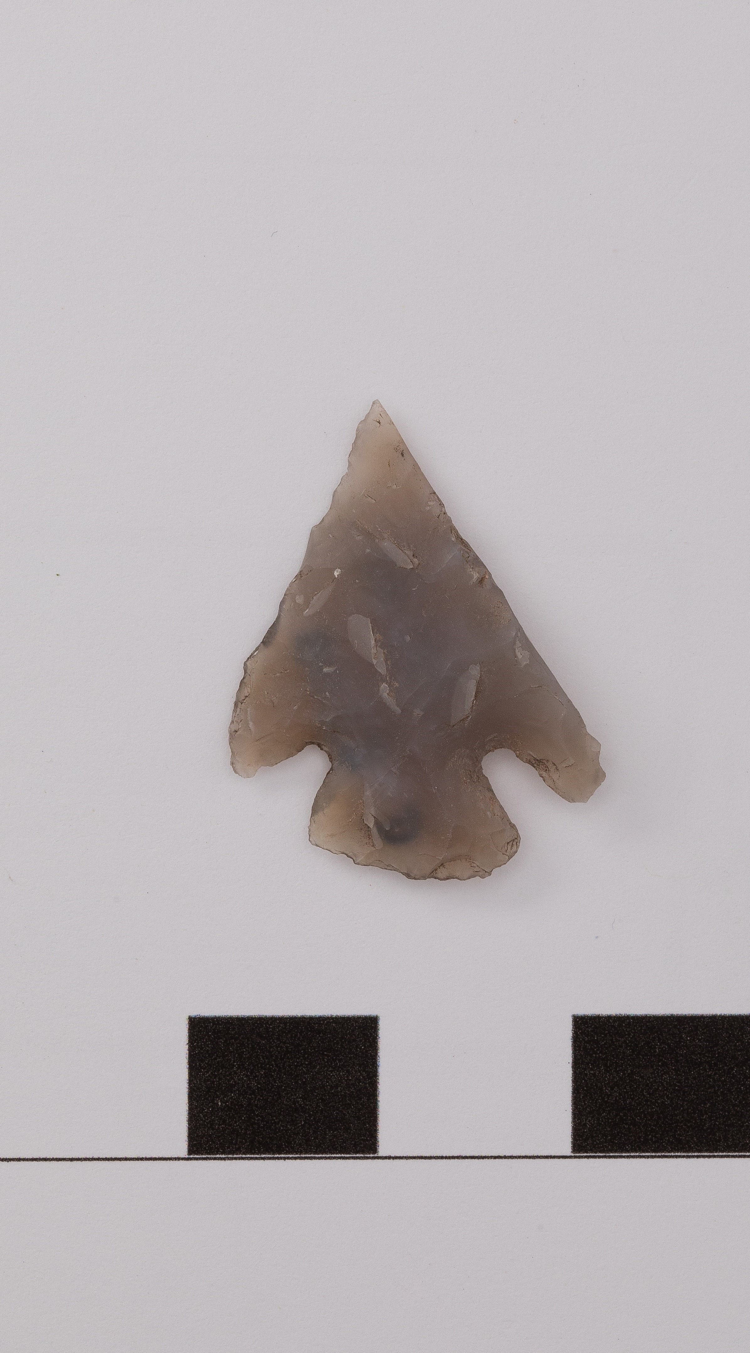 projectile point