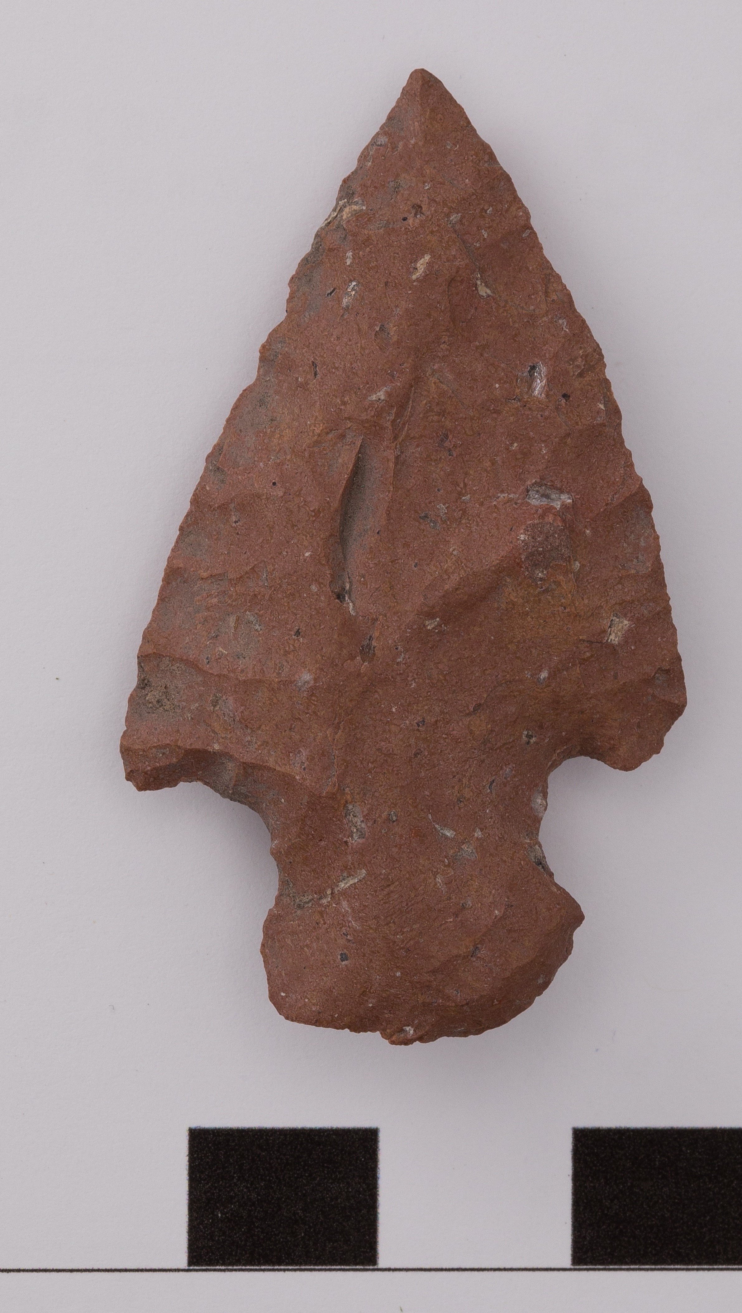 projectile point