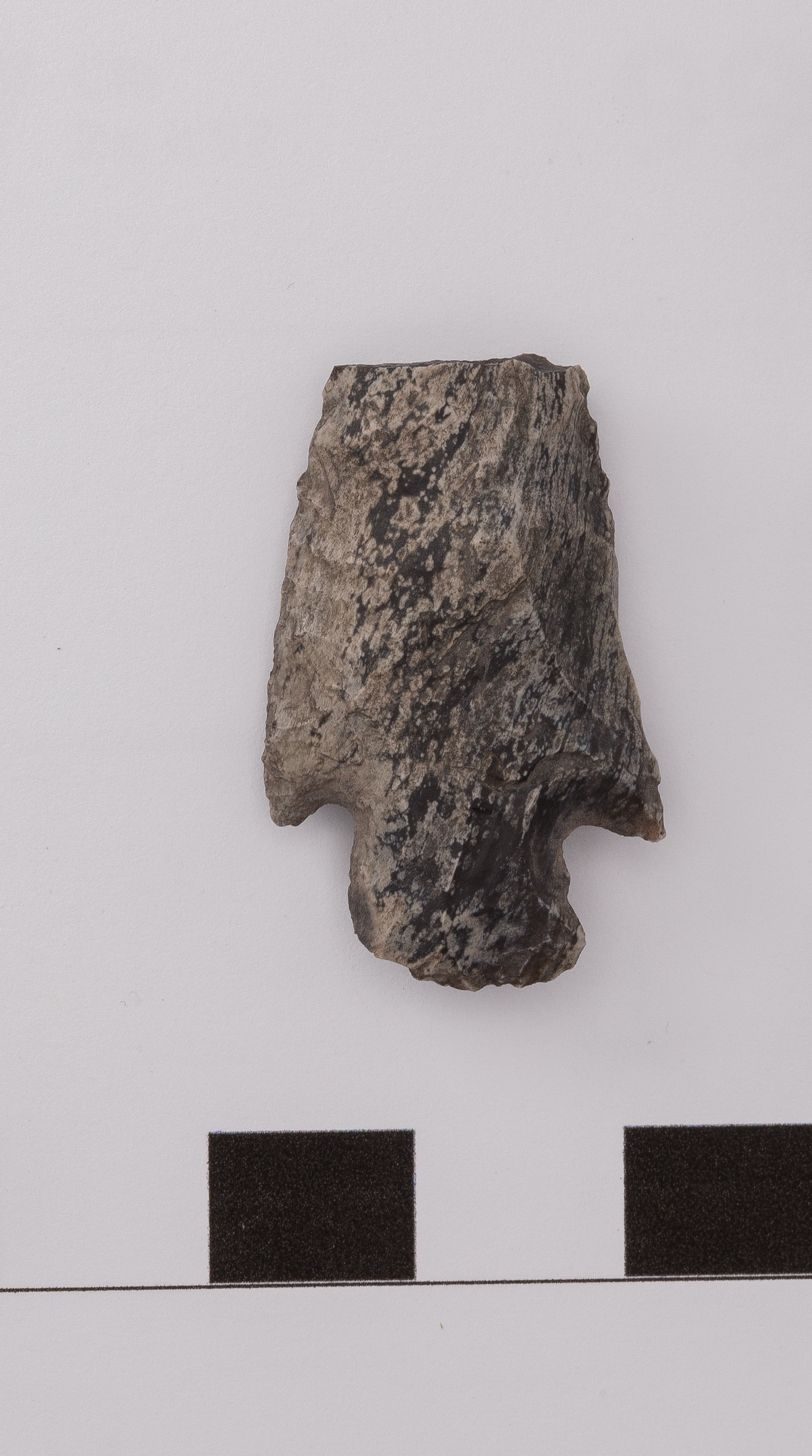 projectile point