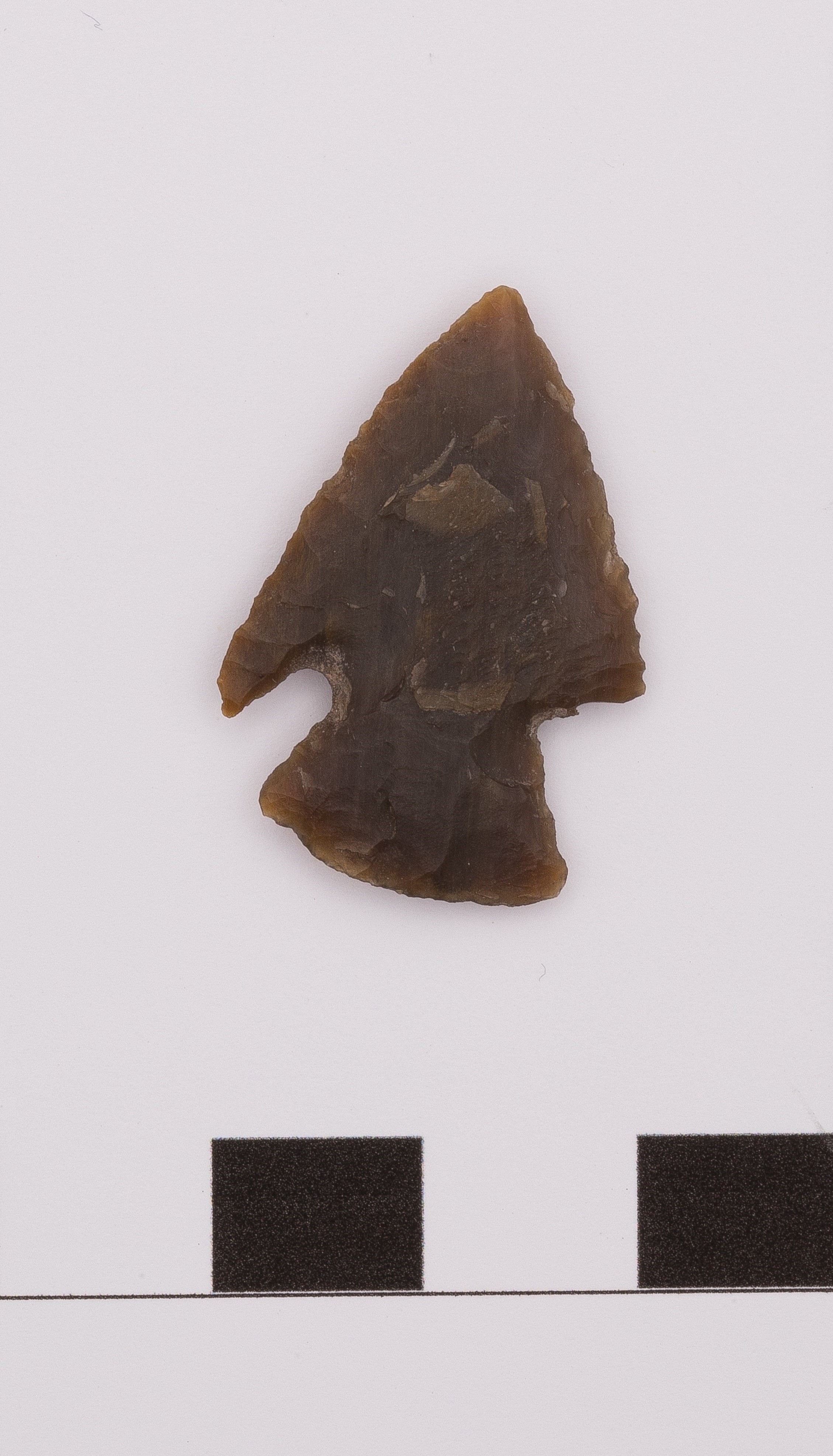 projectile point