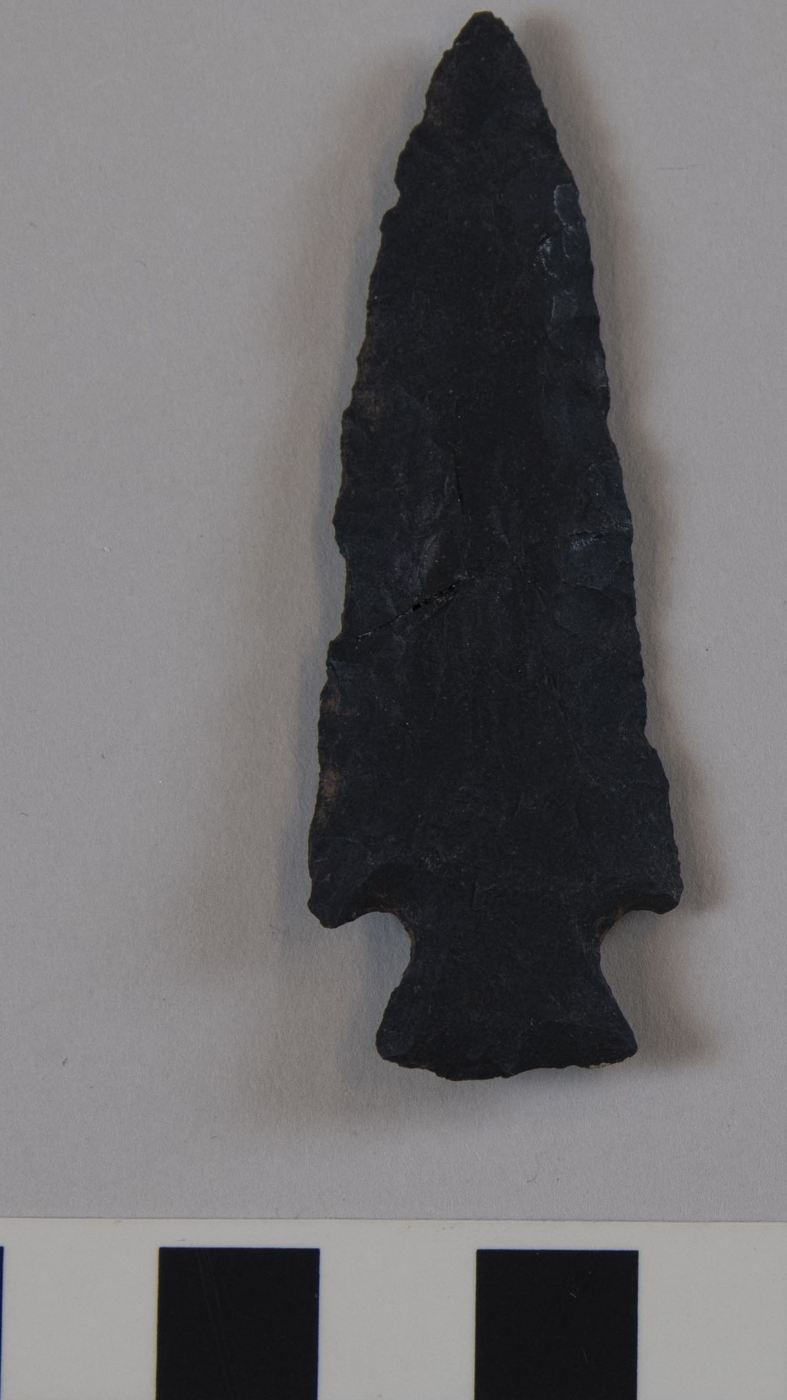 projectile point