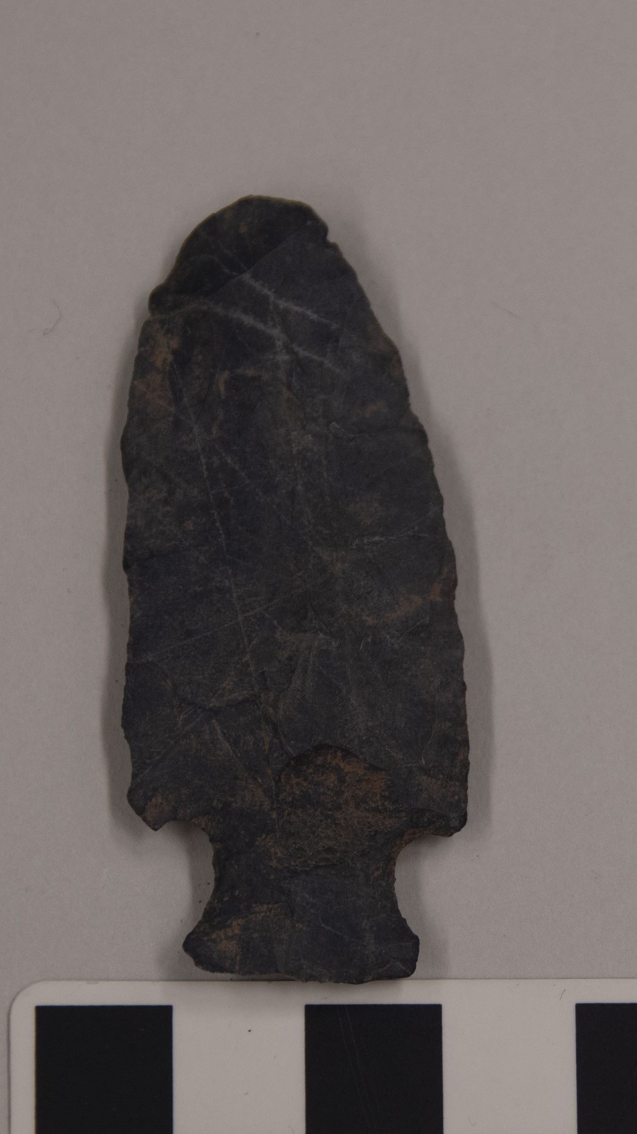 projectile point