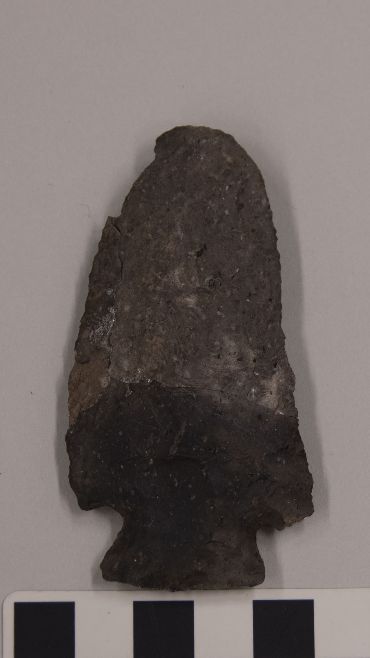 projectile point