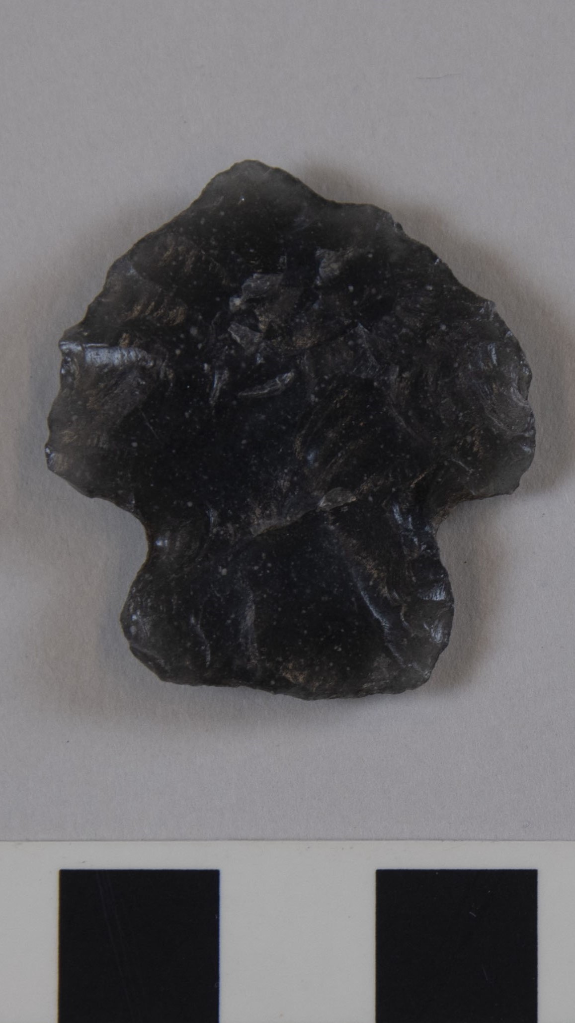 projectile point