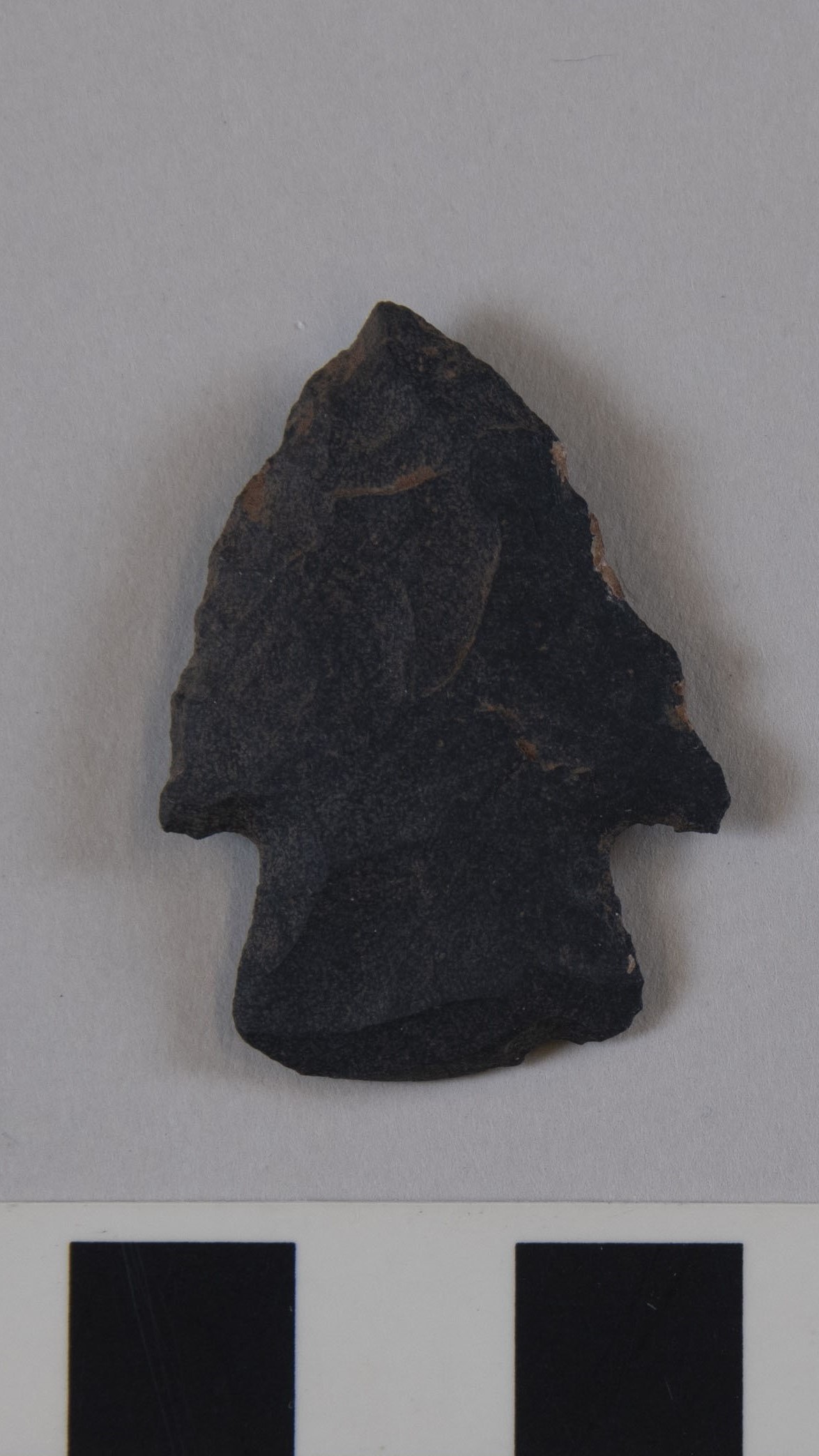 projectile point