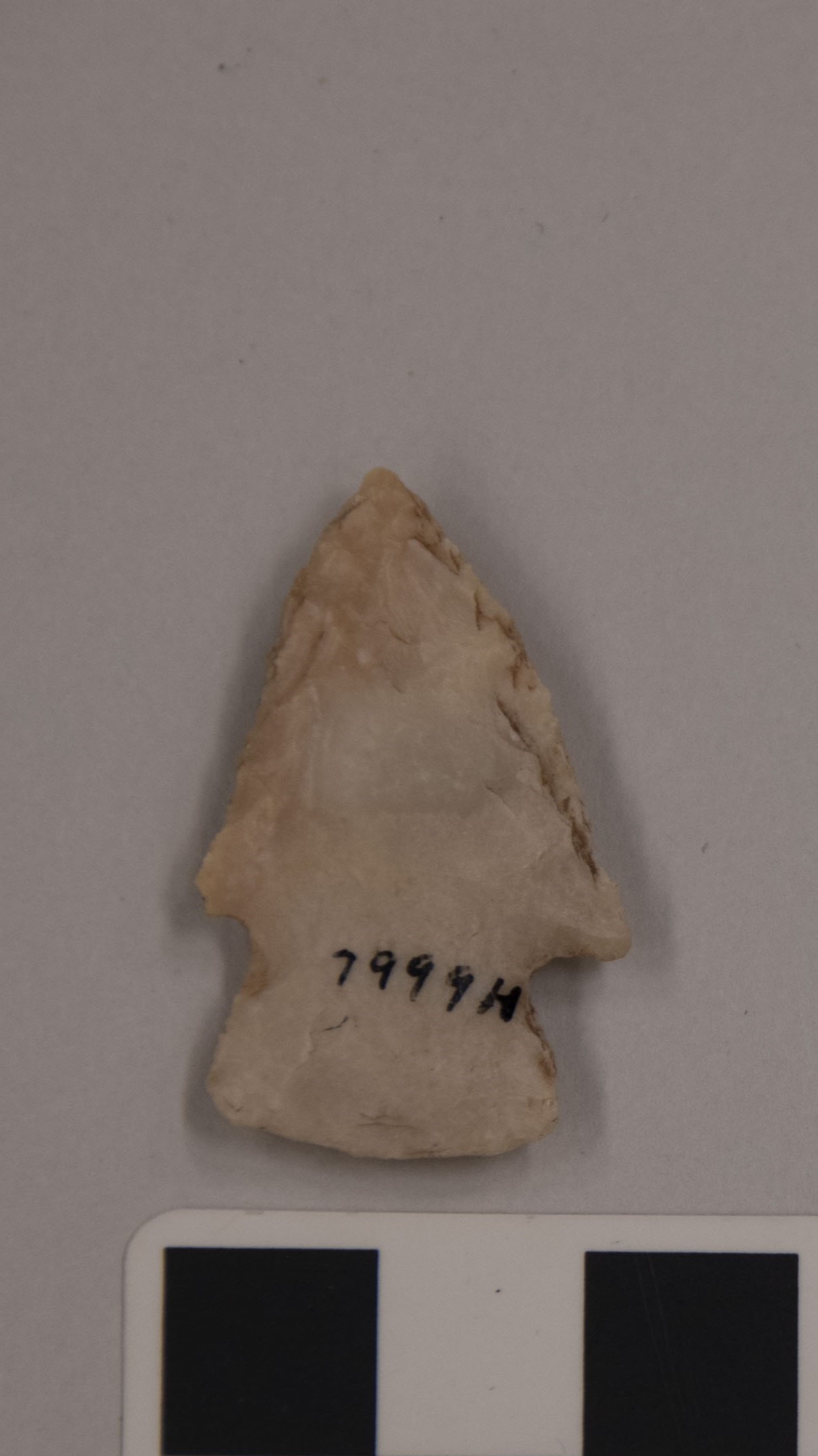 projectile point