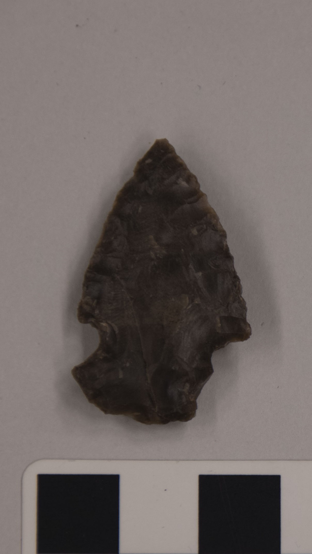 projectile point