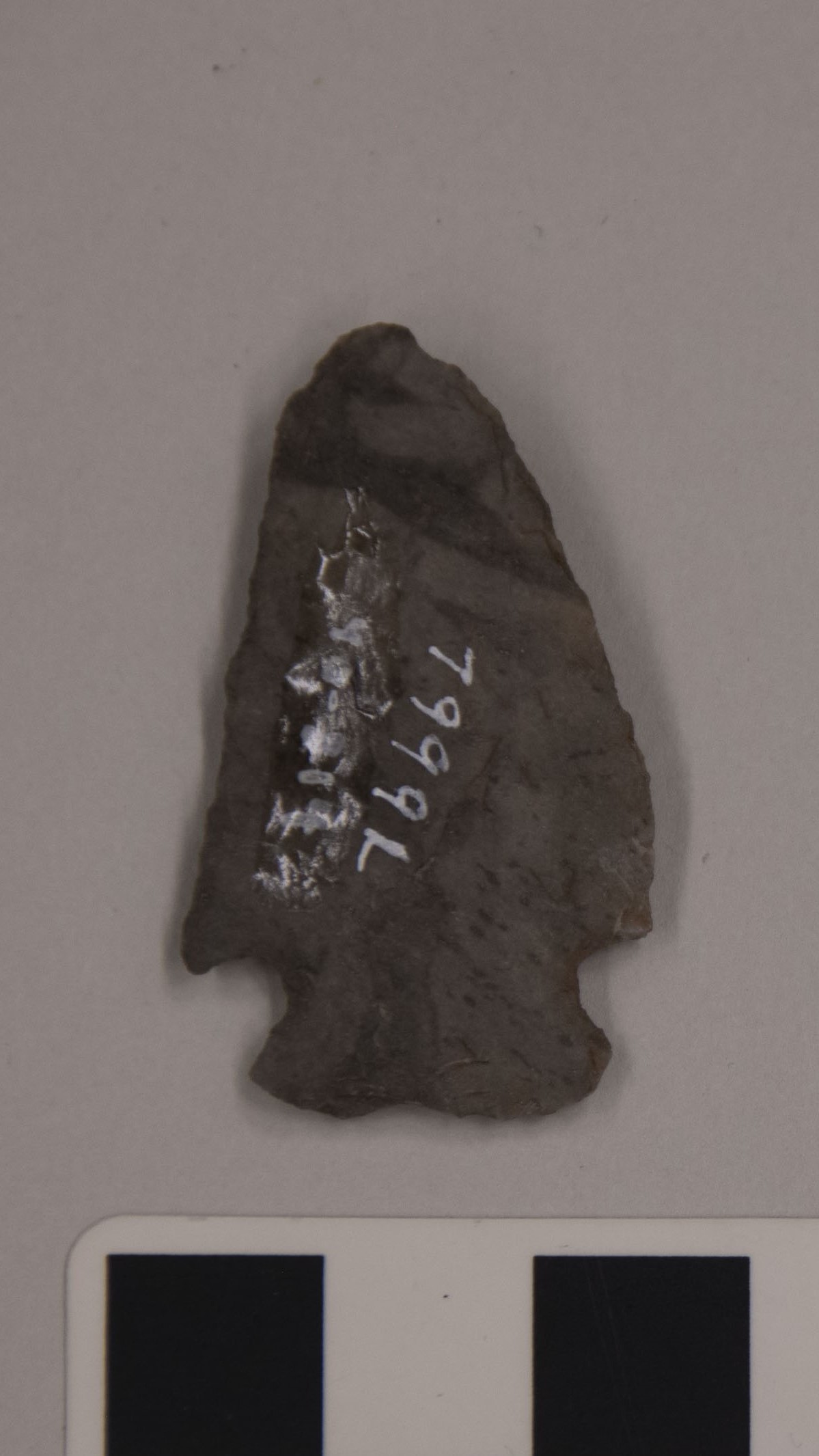 projectile point