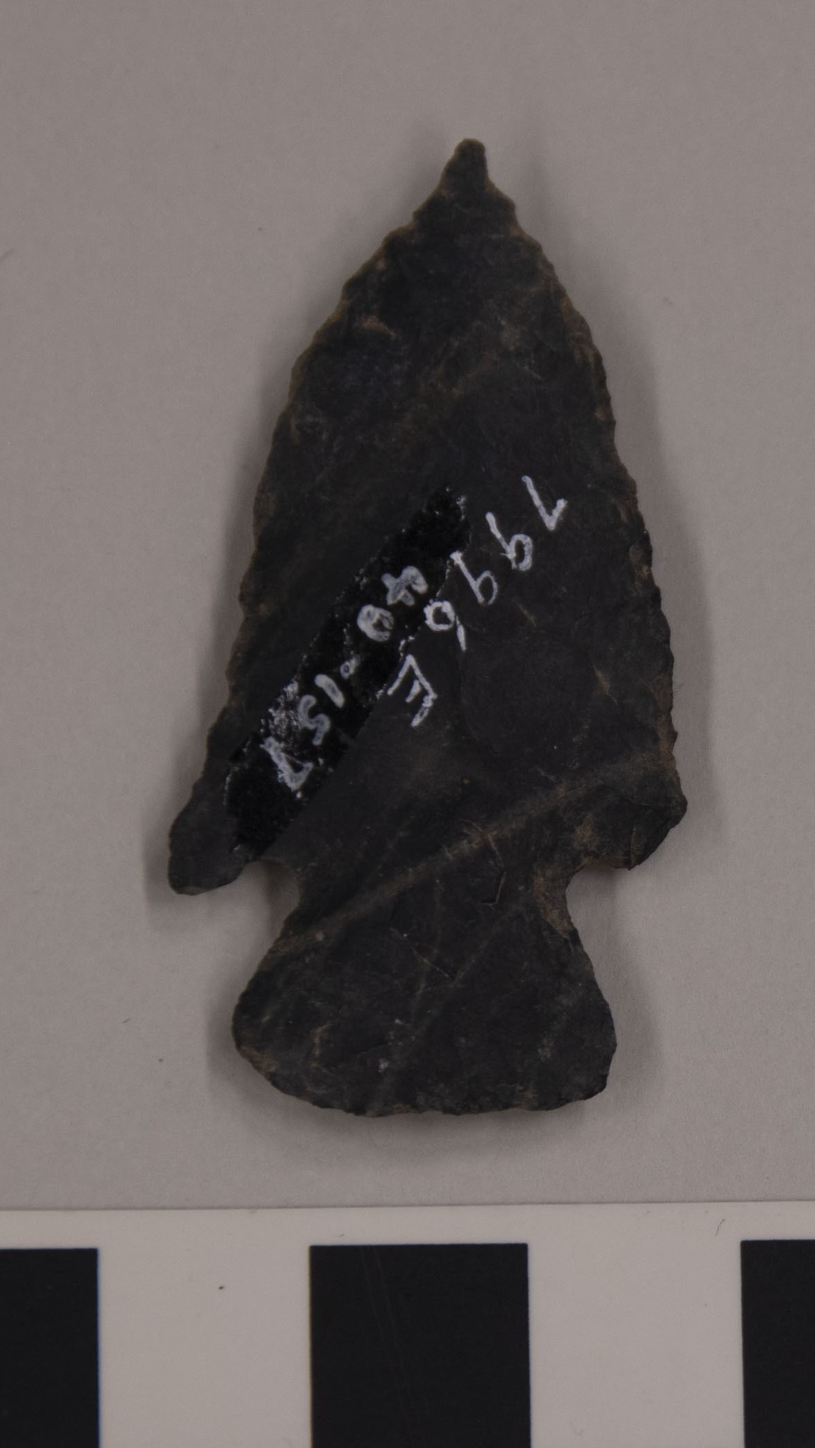 projectile point