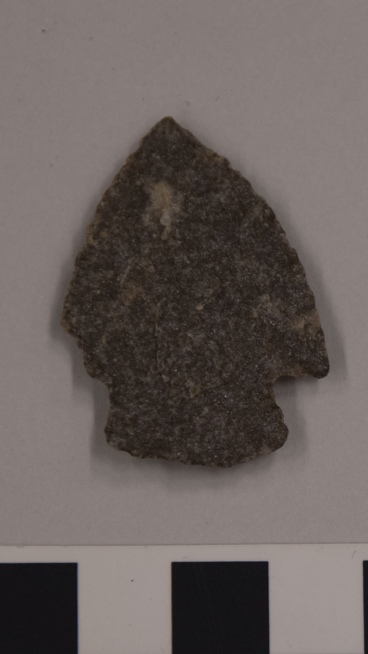 projectile point