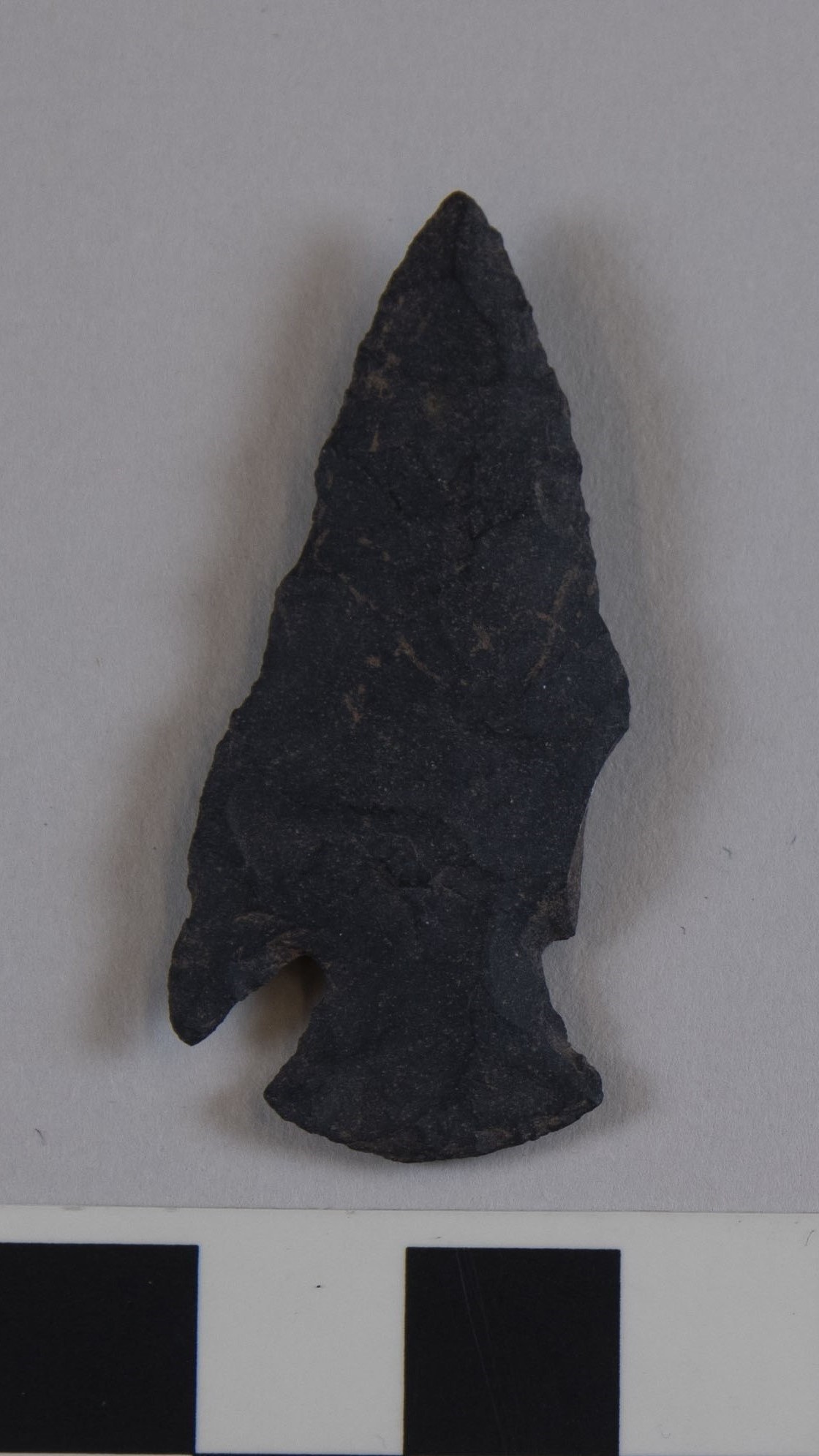 projectile point