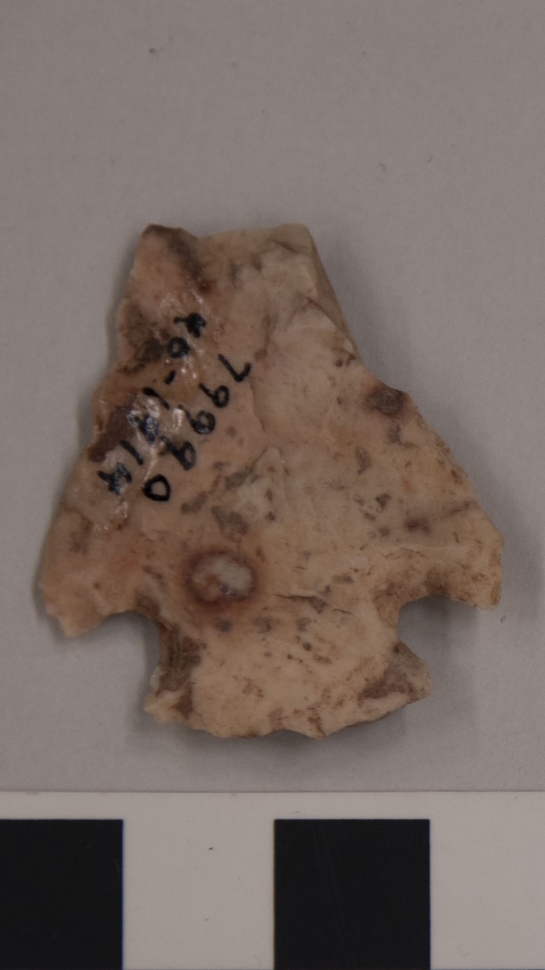 projectile point