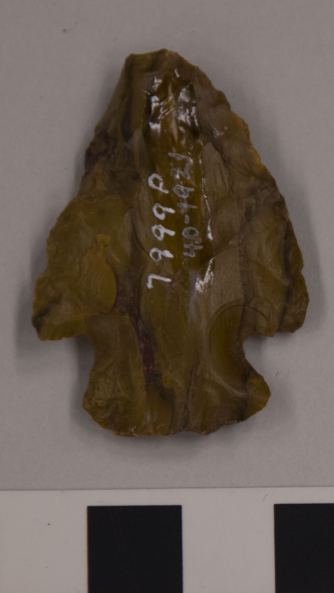 projectile point