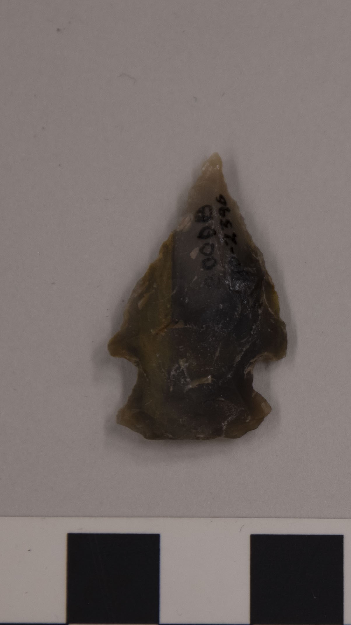 projectile point