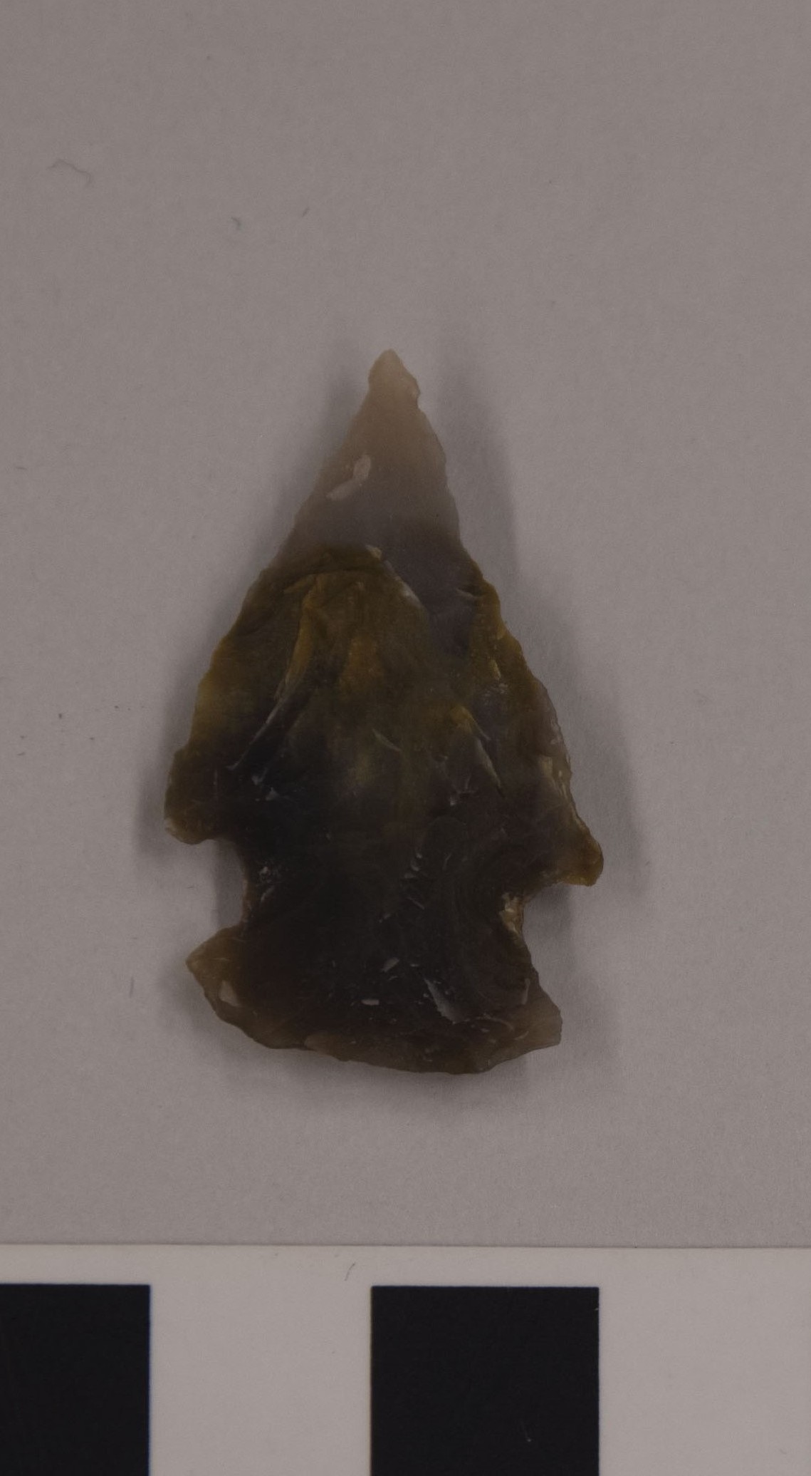 projectile point