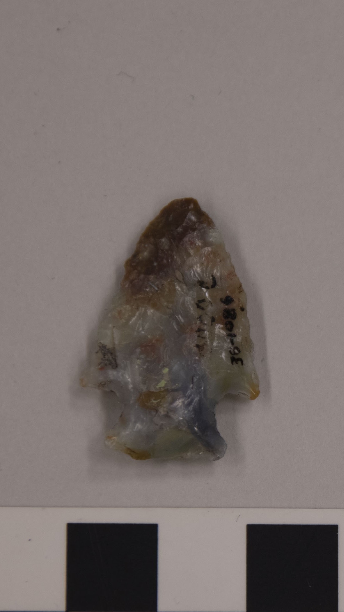 projectile point