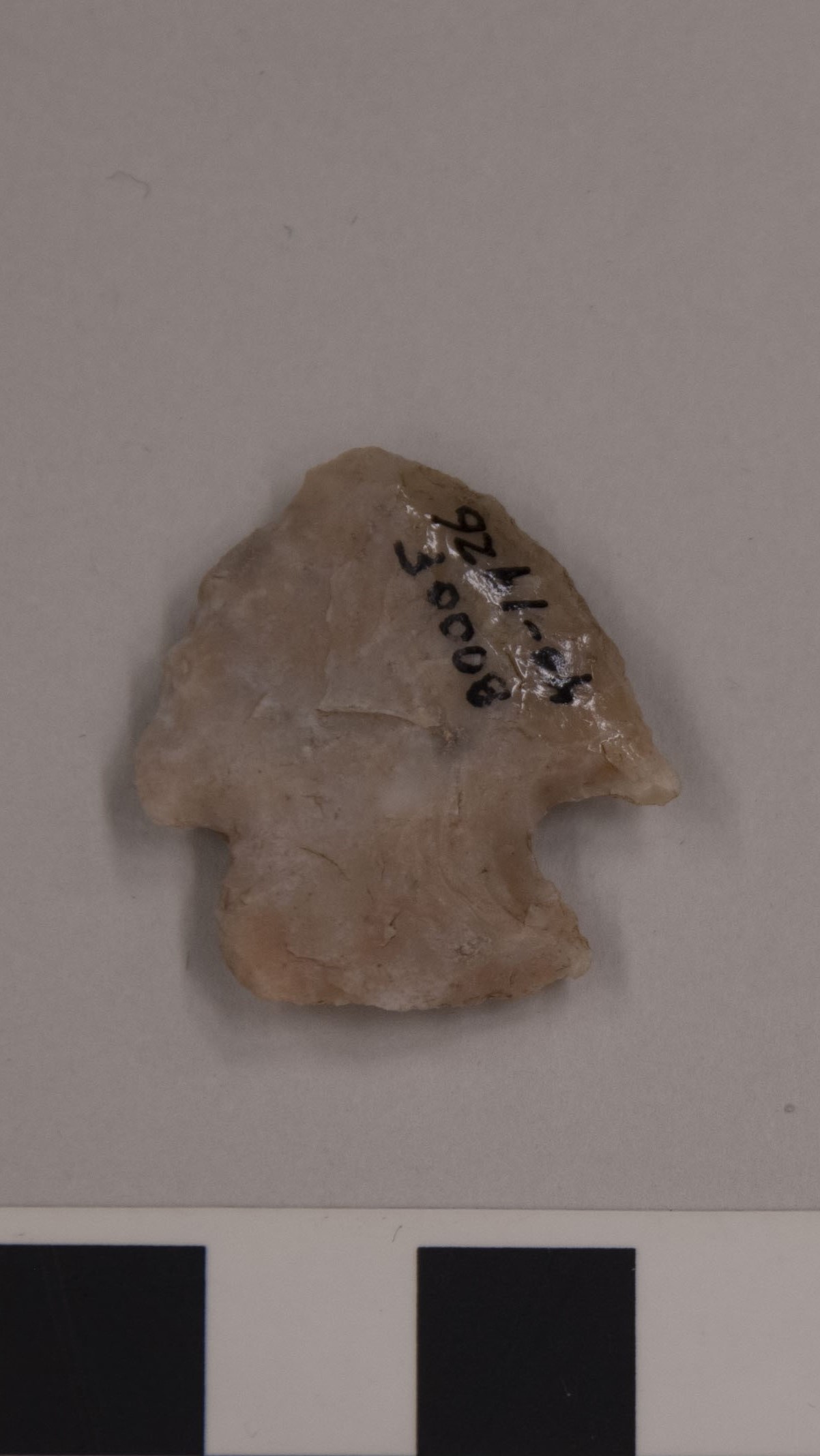 projectile point