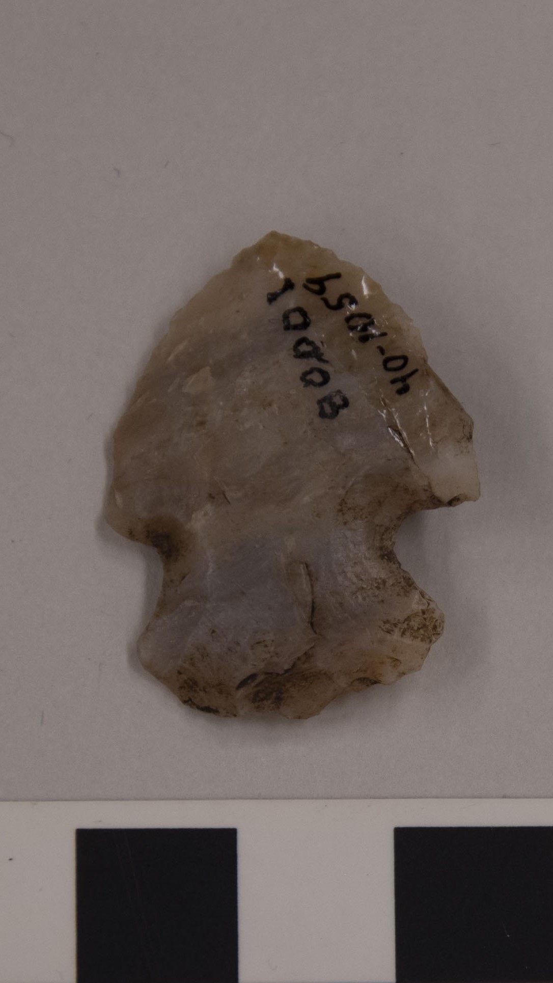 projectile point