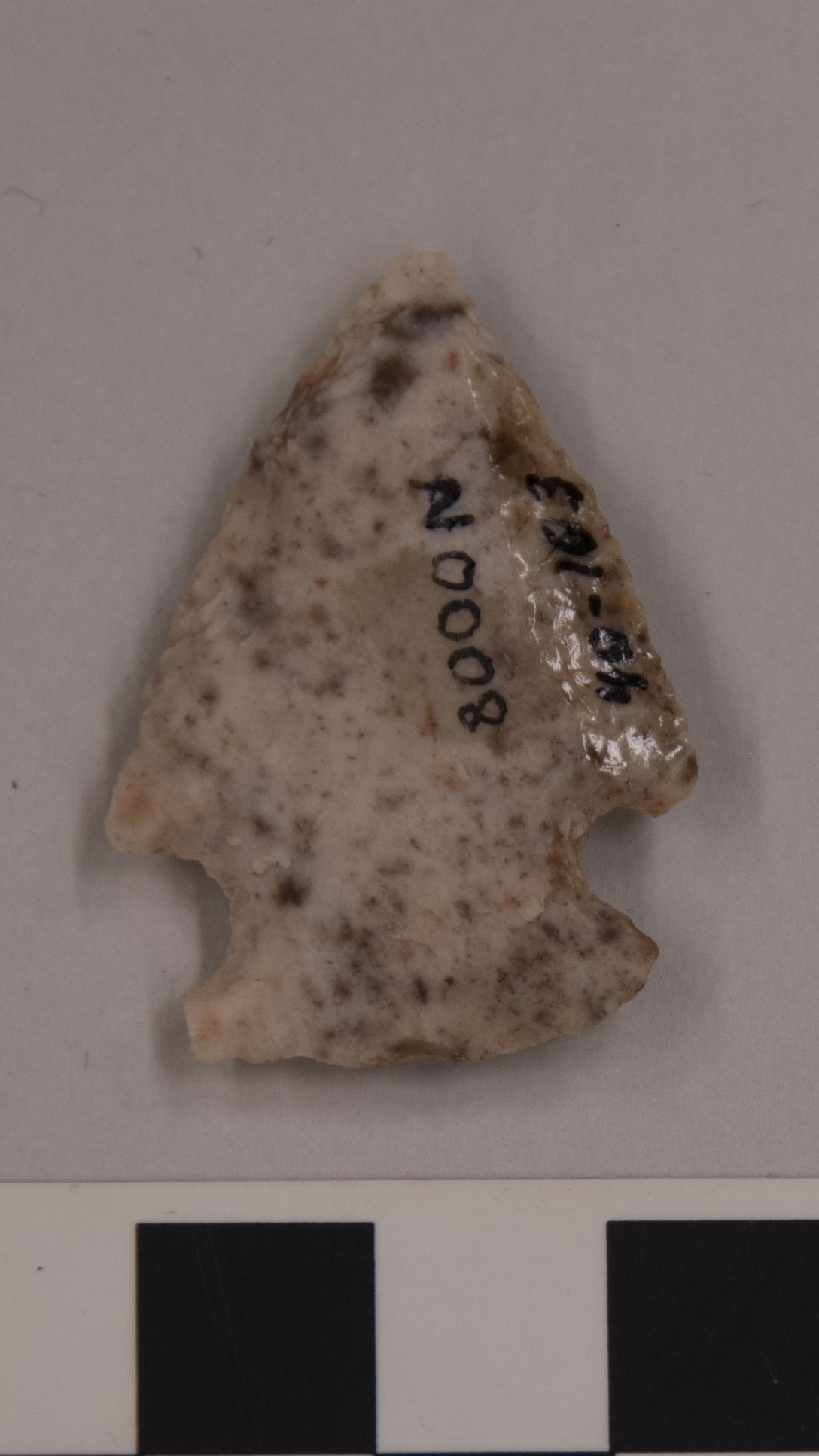 projectile point