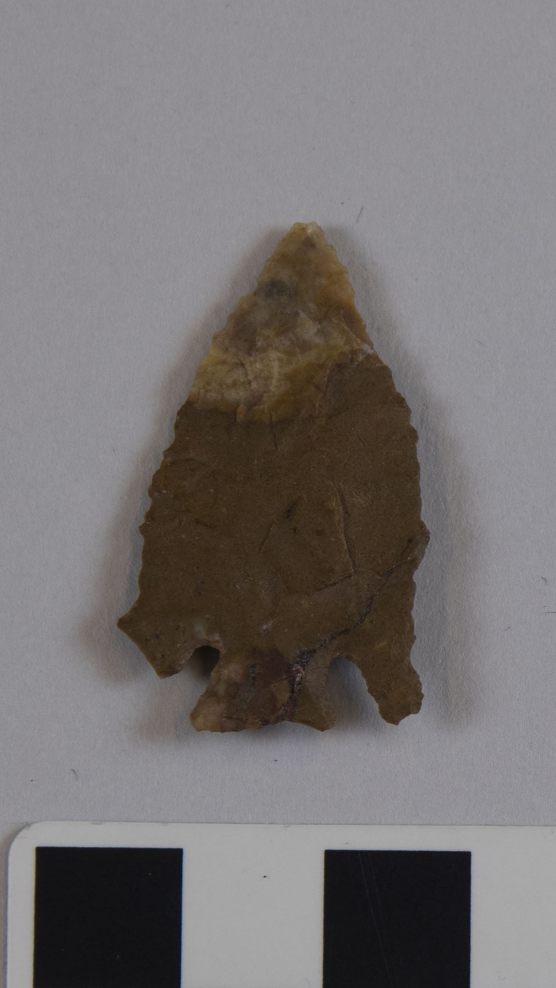 projectile point