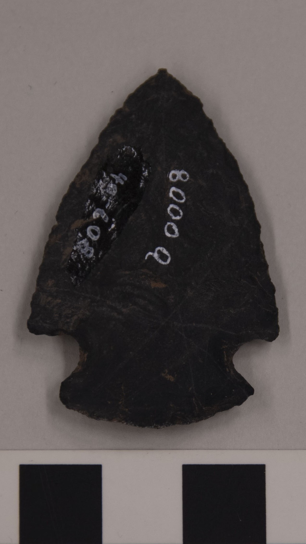 projectile point