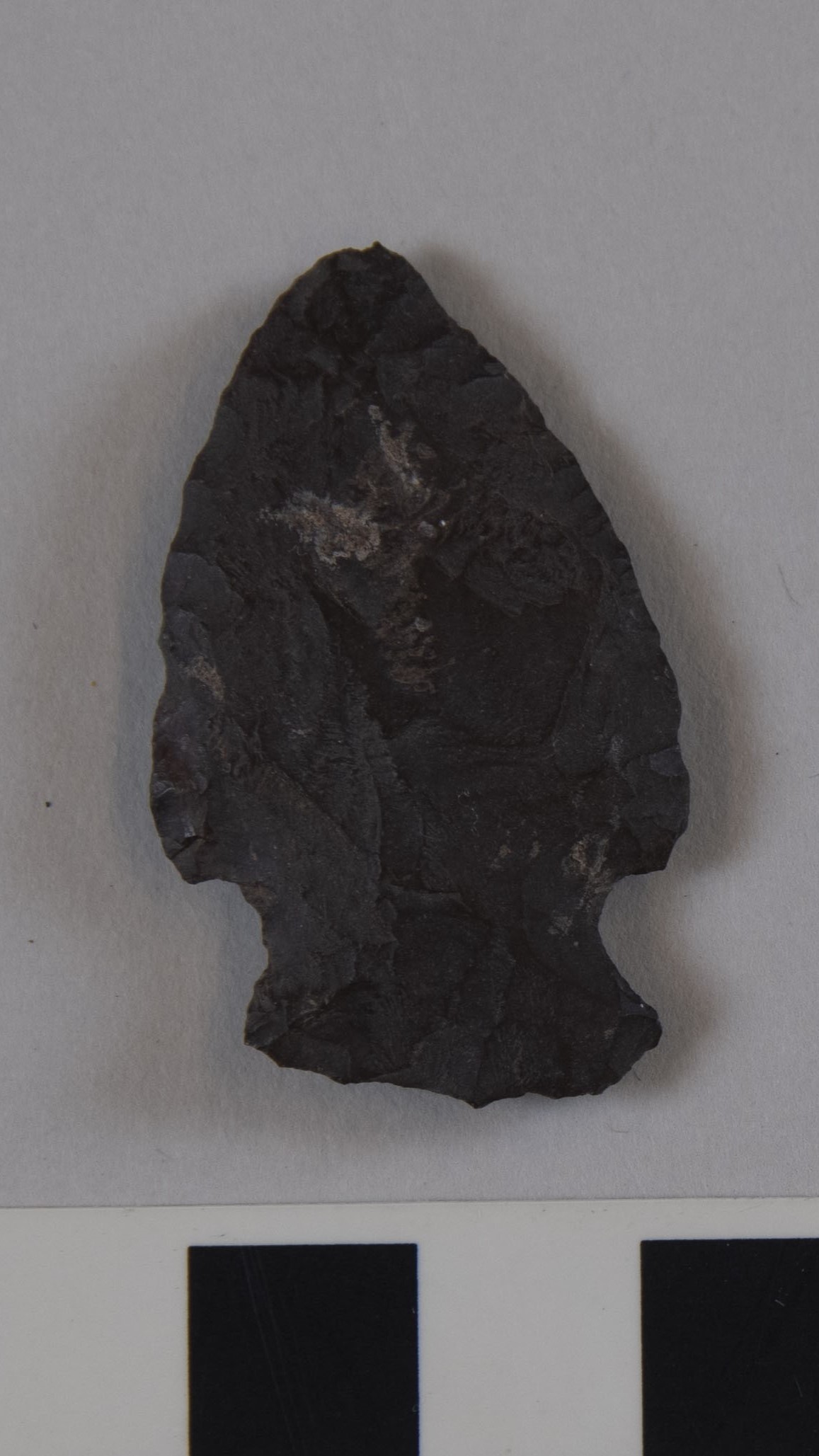 projectile point