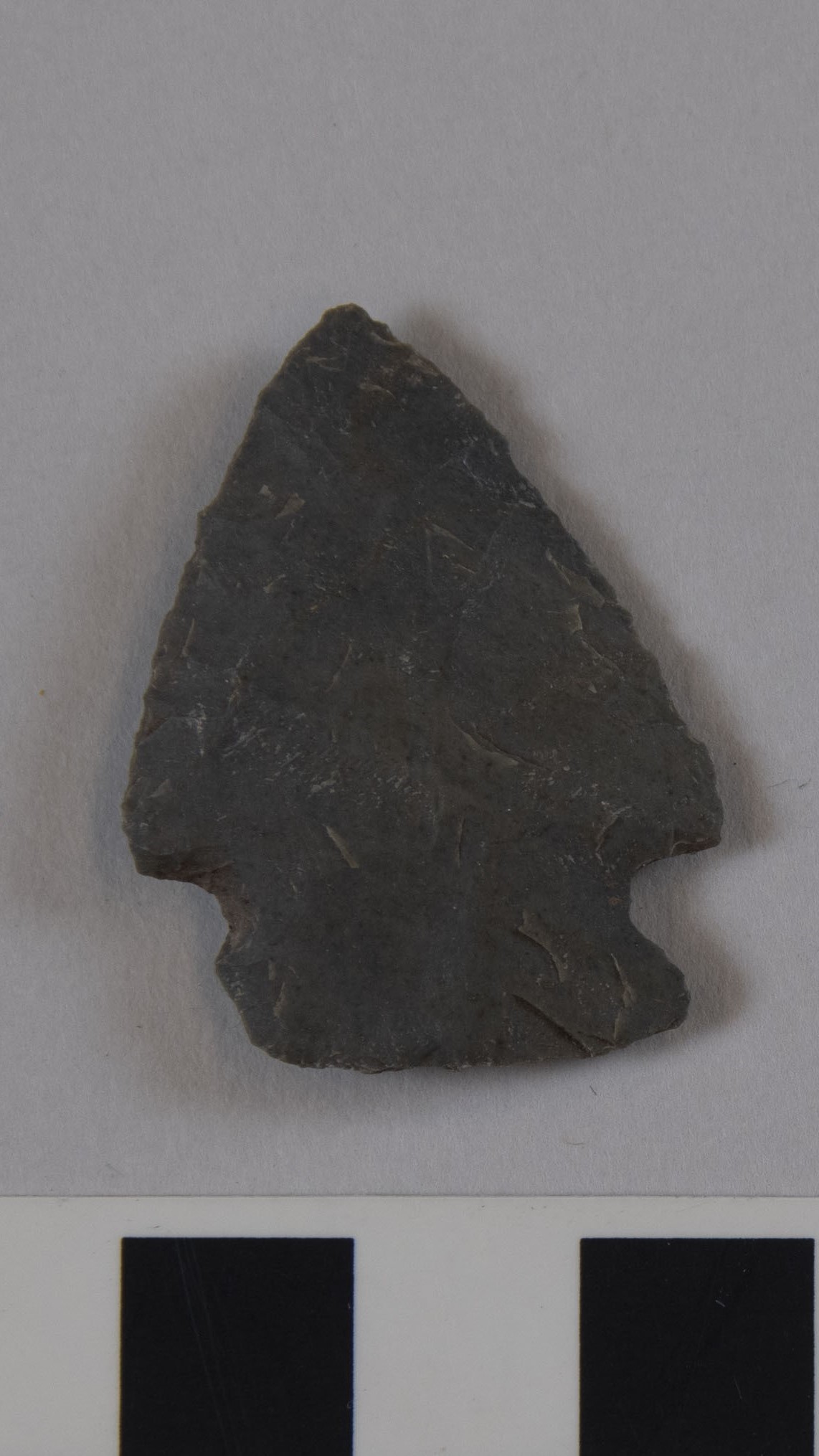 projectile point