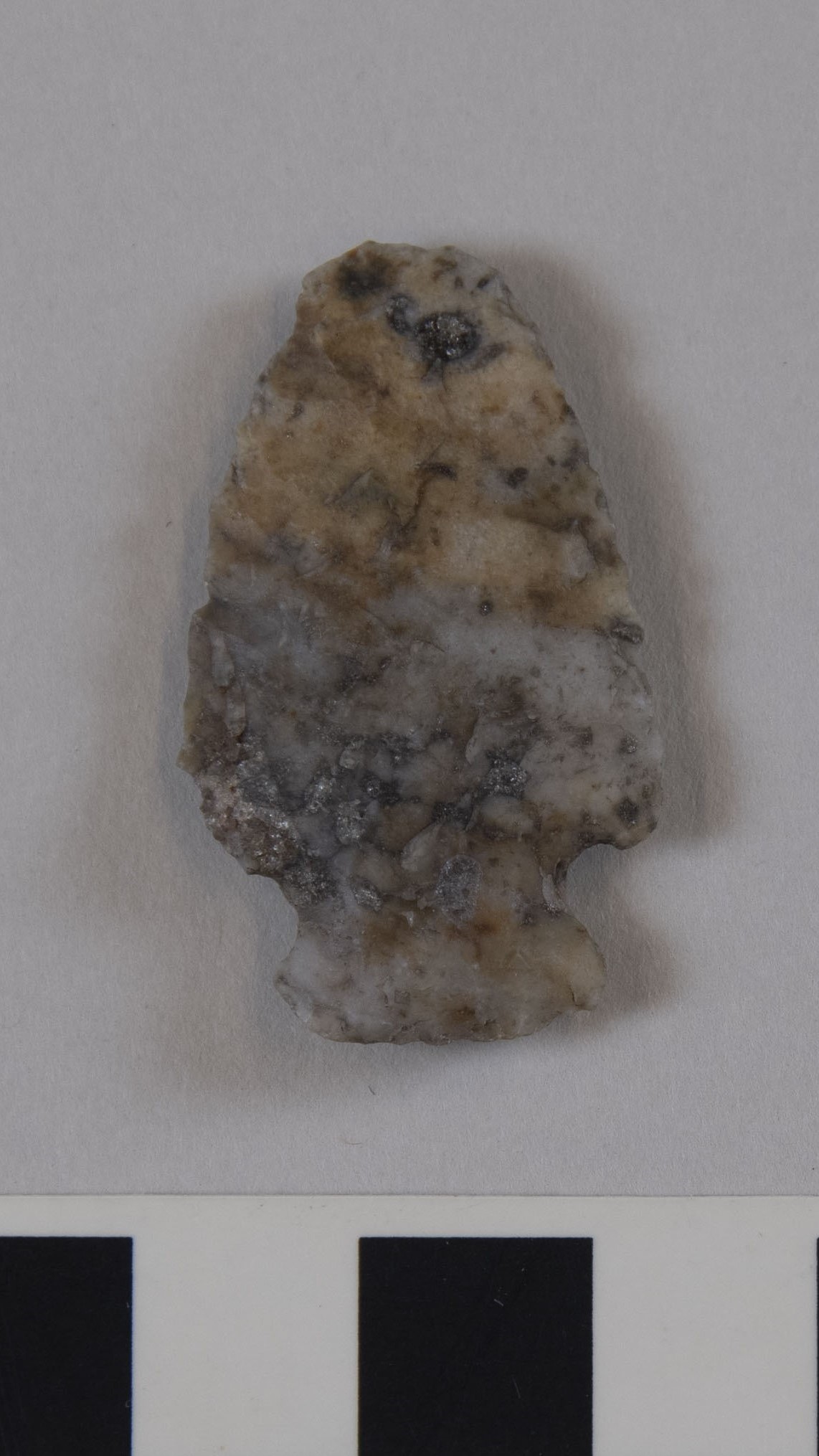 projectile point