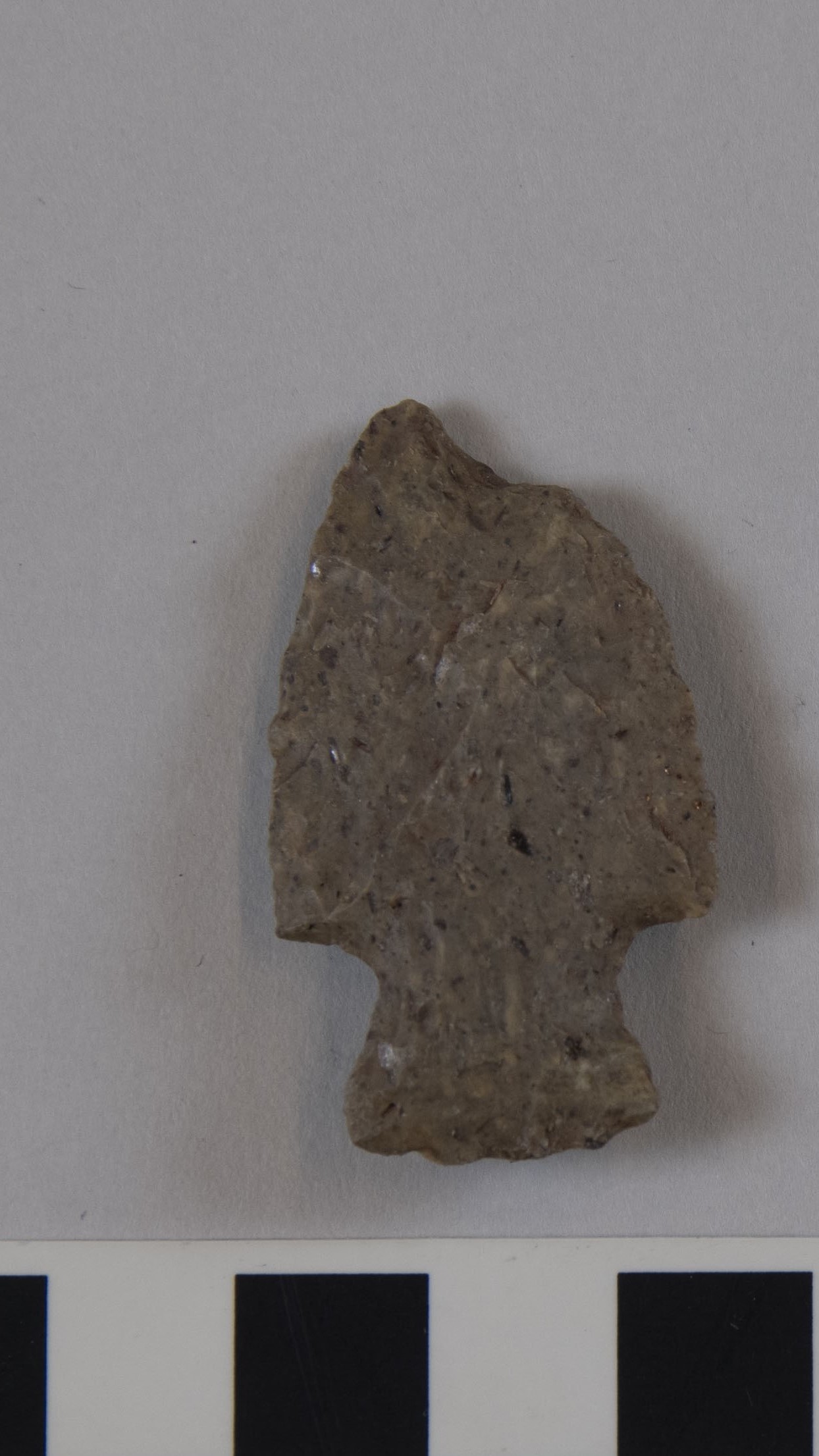 projectile point