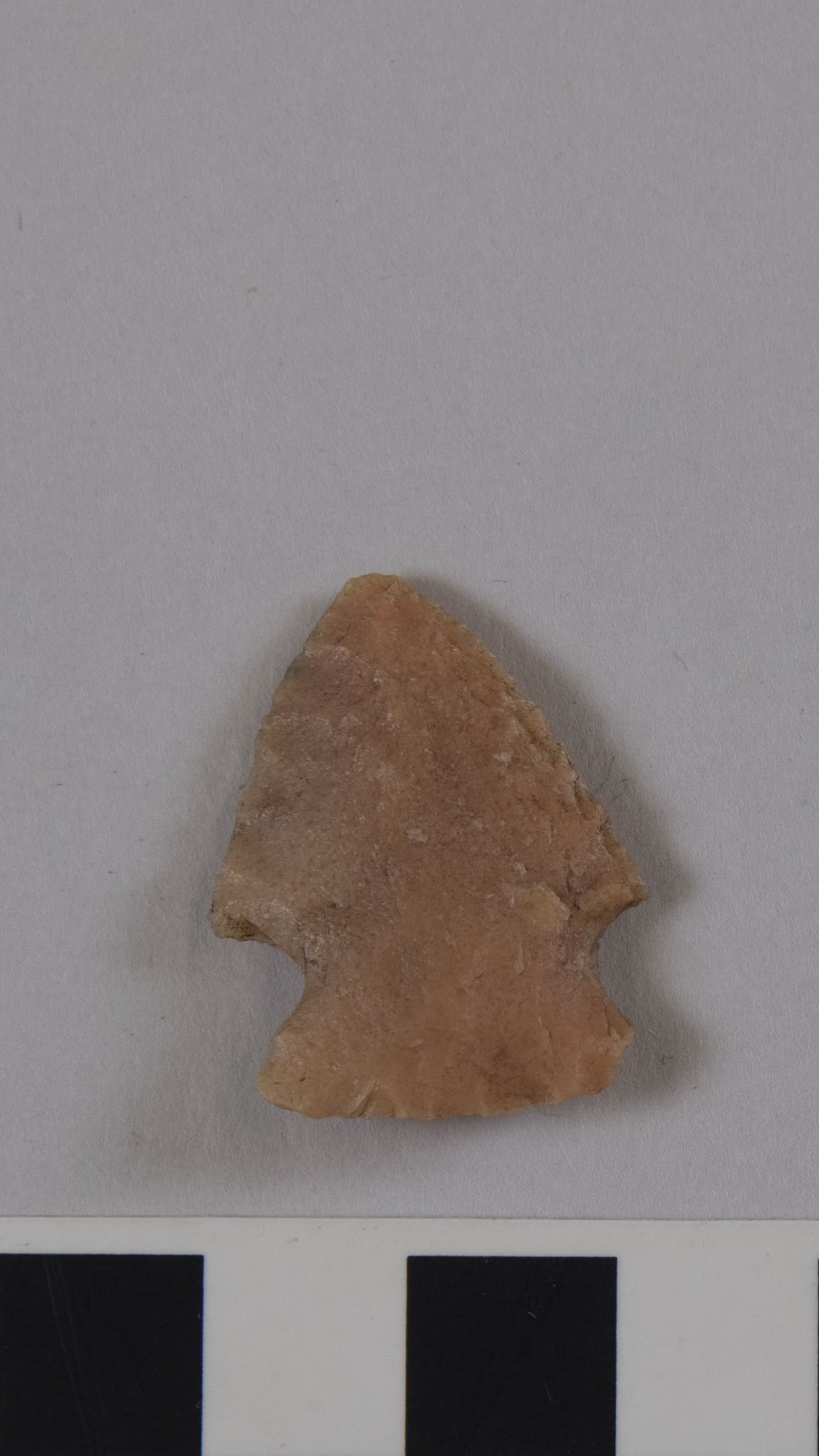 projectile point