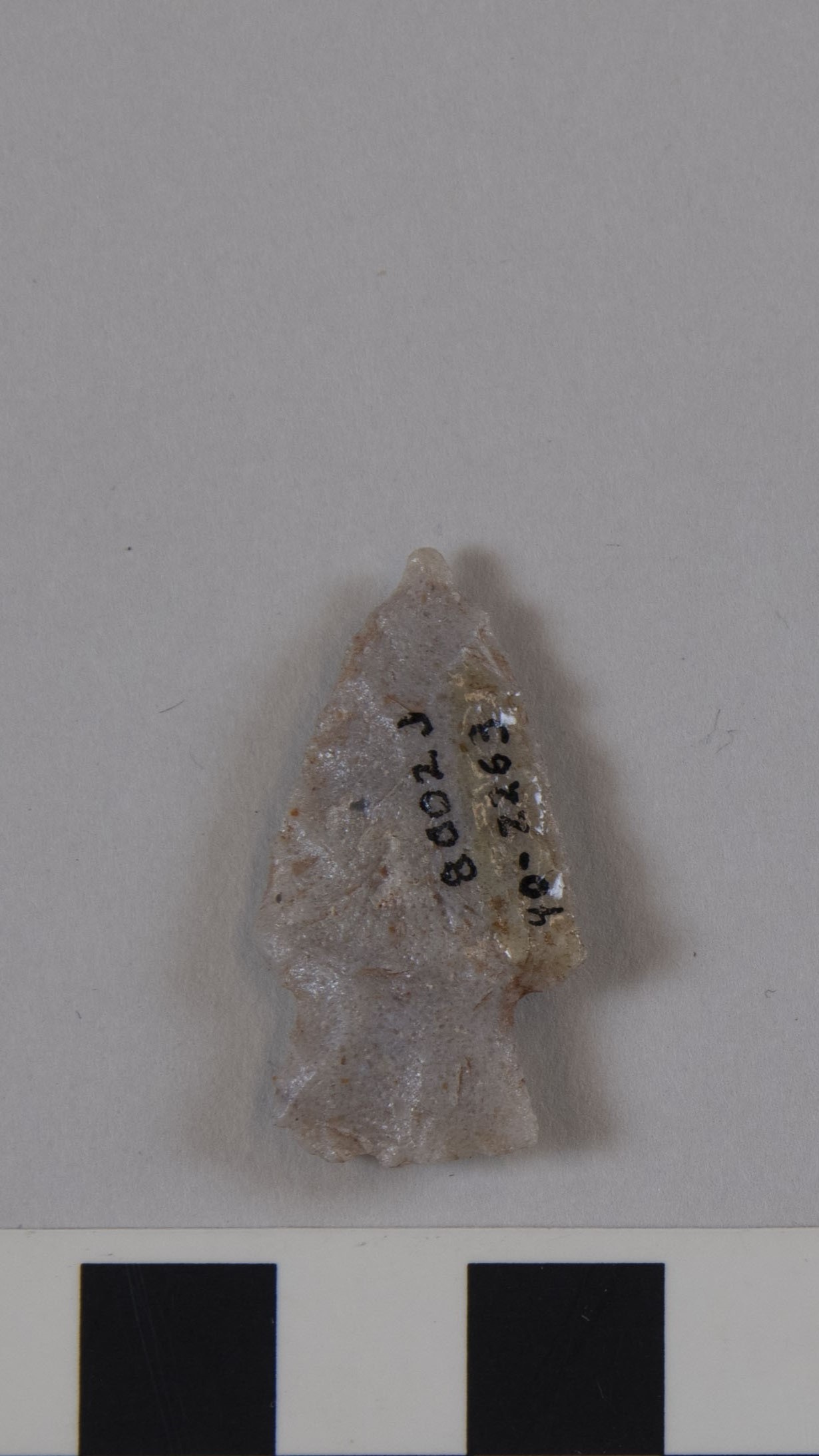 projectile point