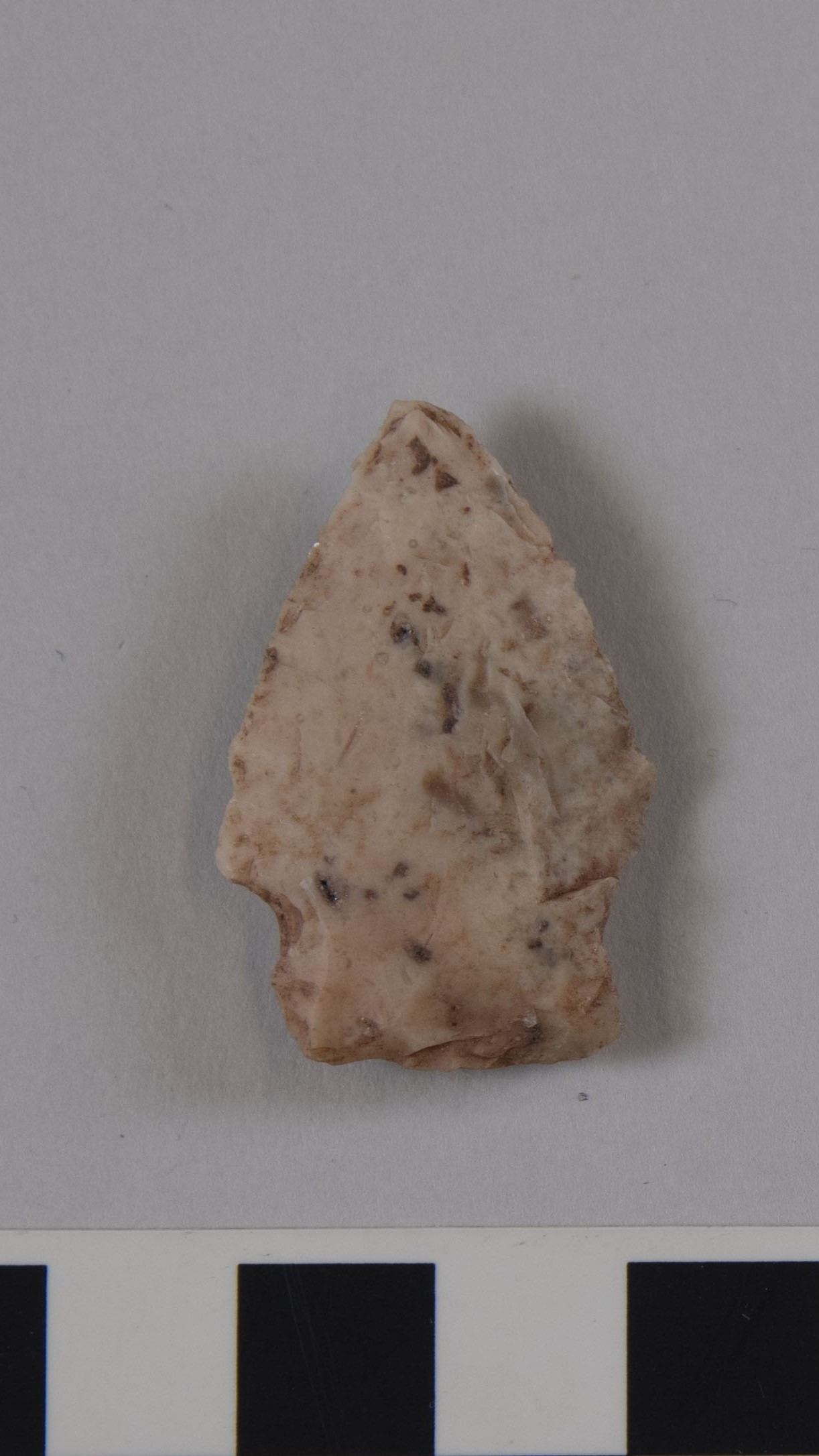 projectile point